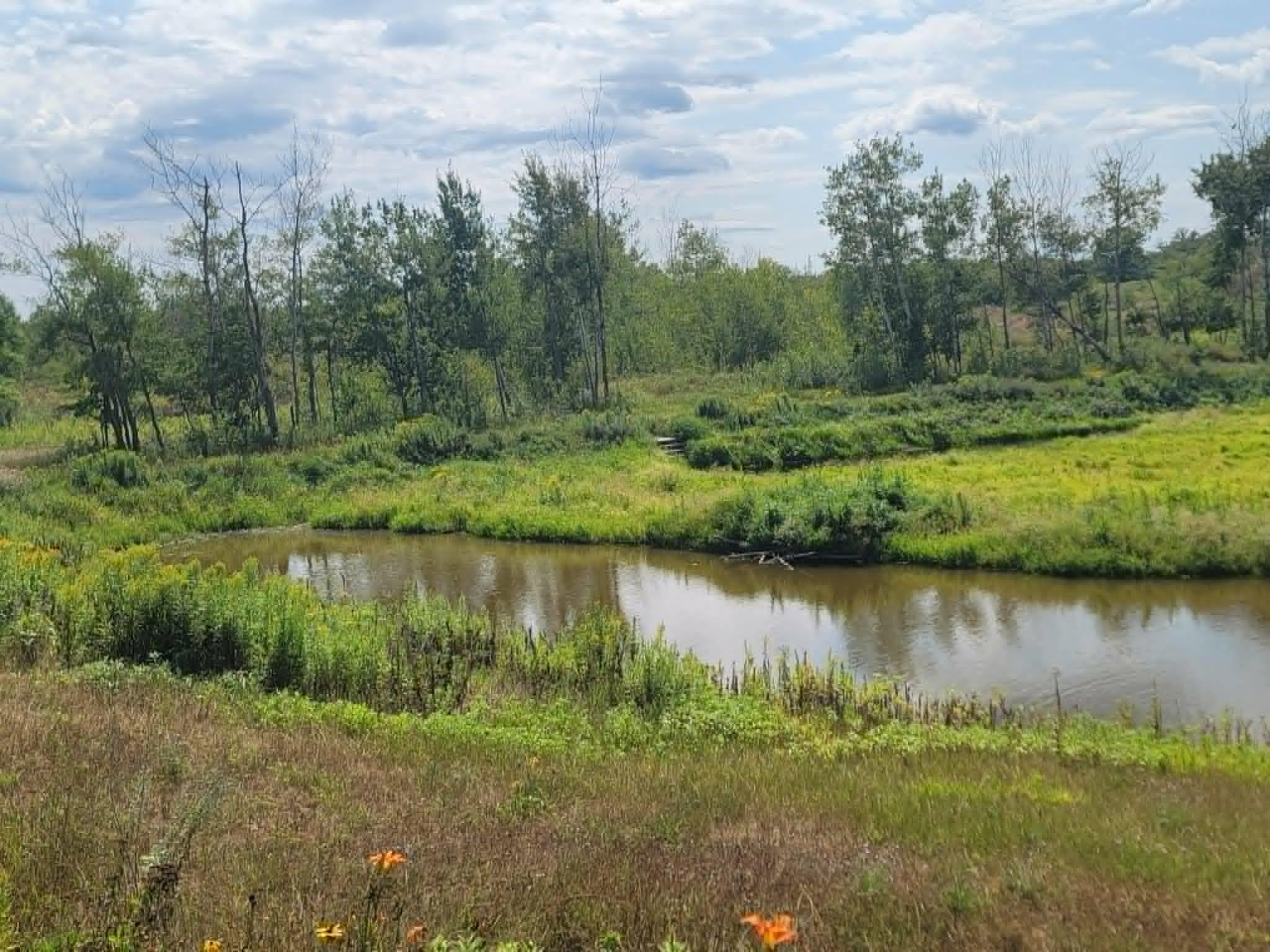 40306 Torchlight Road Property Photo 17