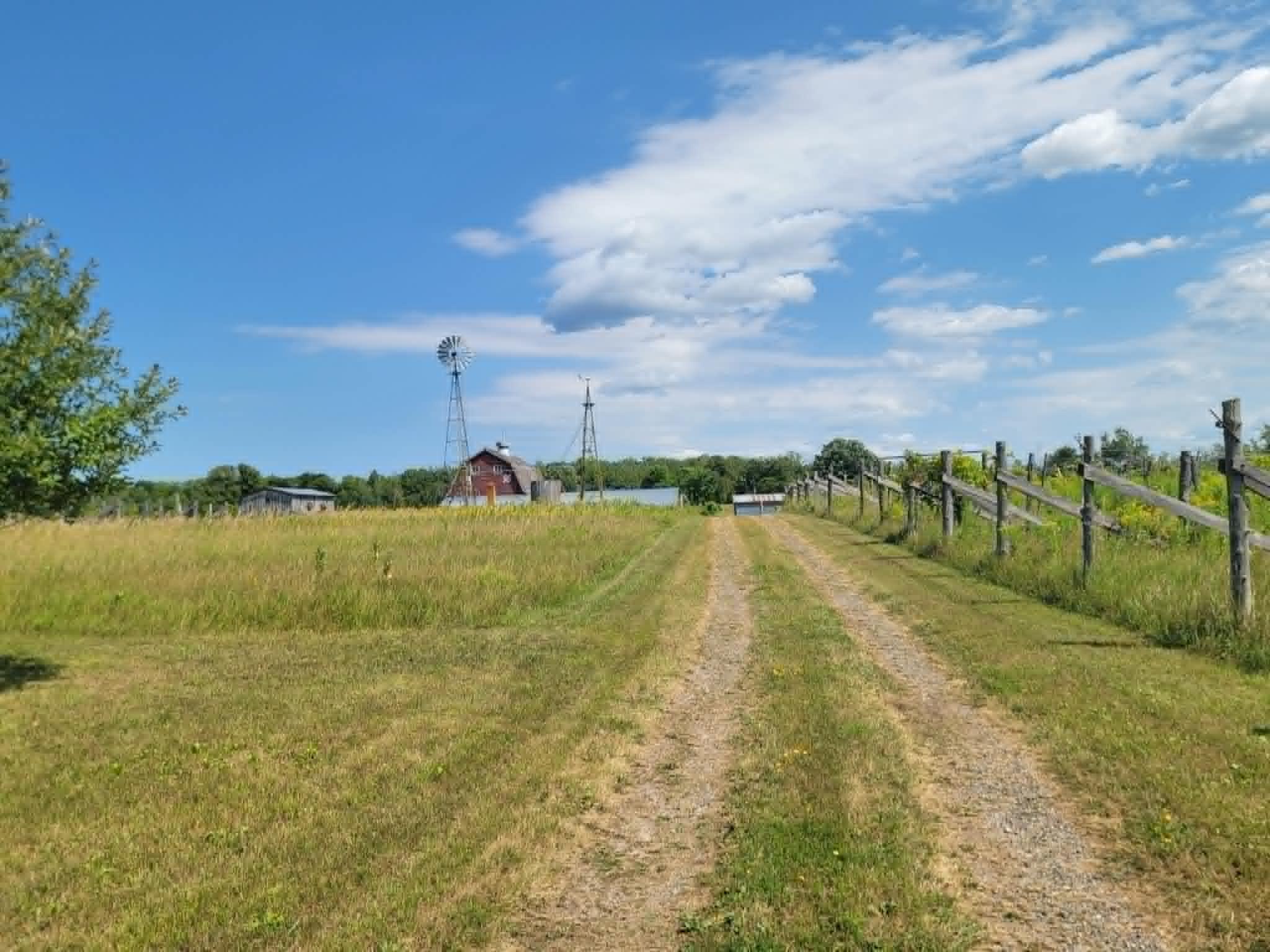 40306 Torchlight Road Property Photo 22