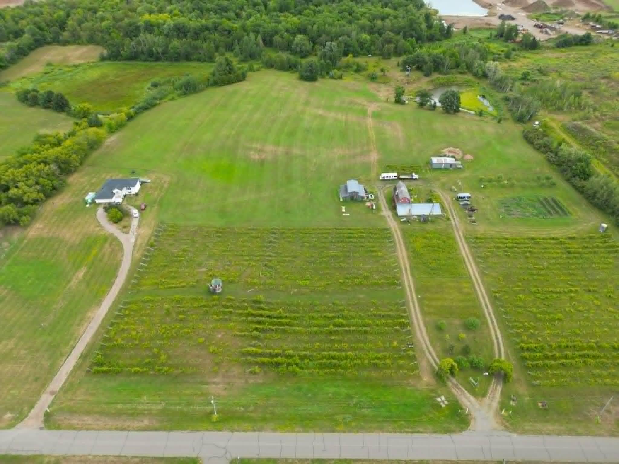 40306 Torchlight Road Property Photo 23