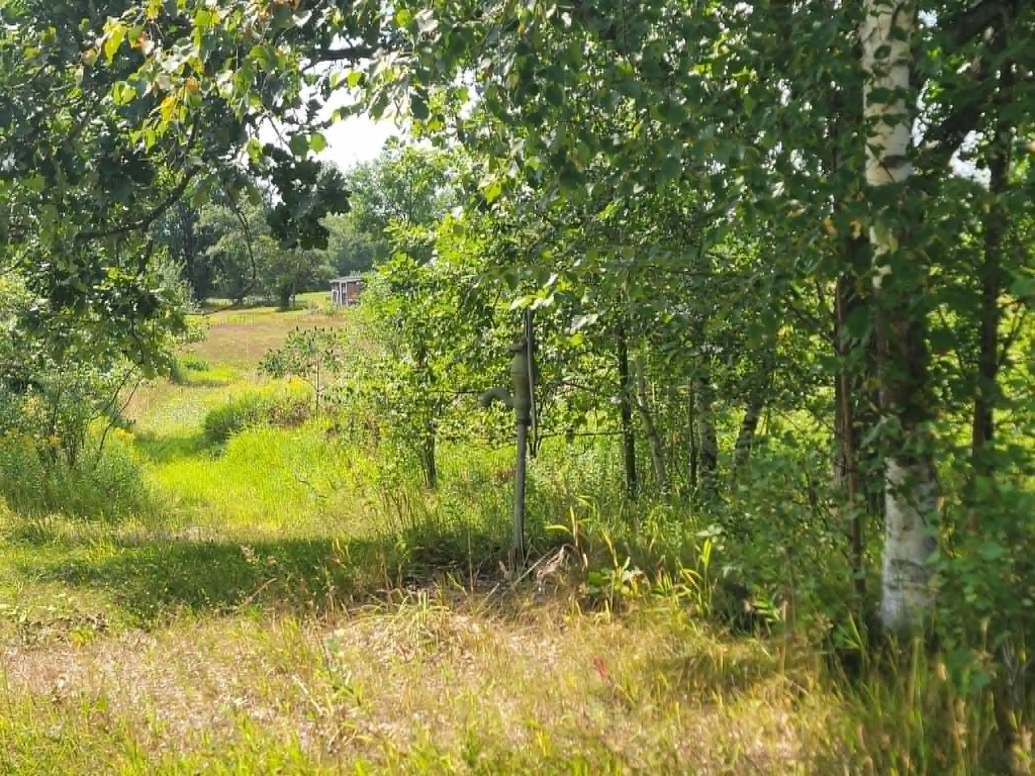 40306 Torchlight Road Property Photo 31