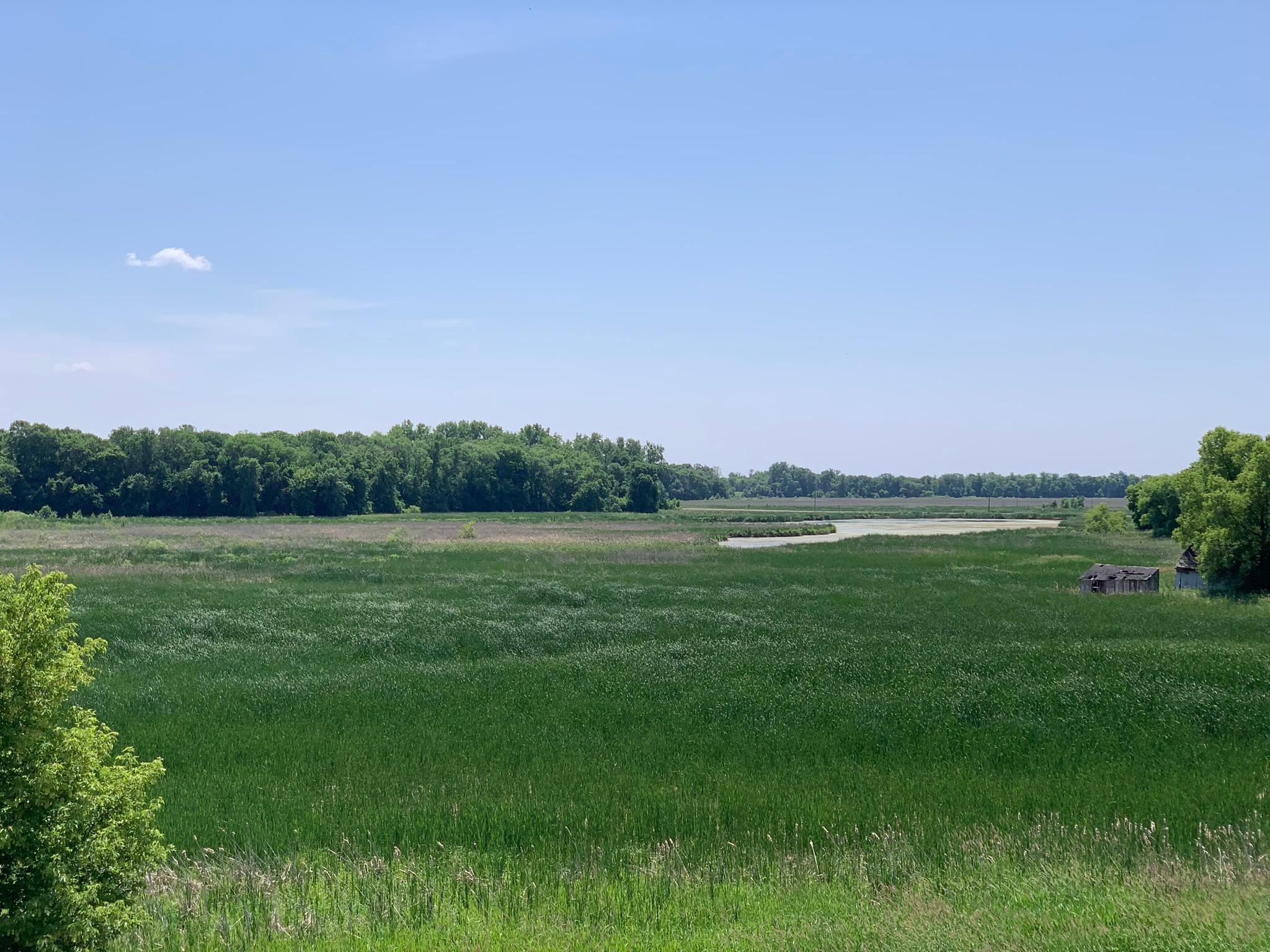13678 Ringneck Way Property Photo 17
