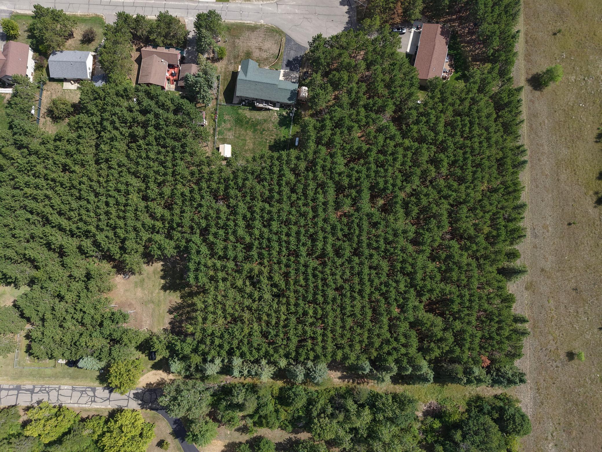 Tbd East Avenue Property Photo 10