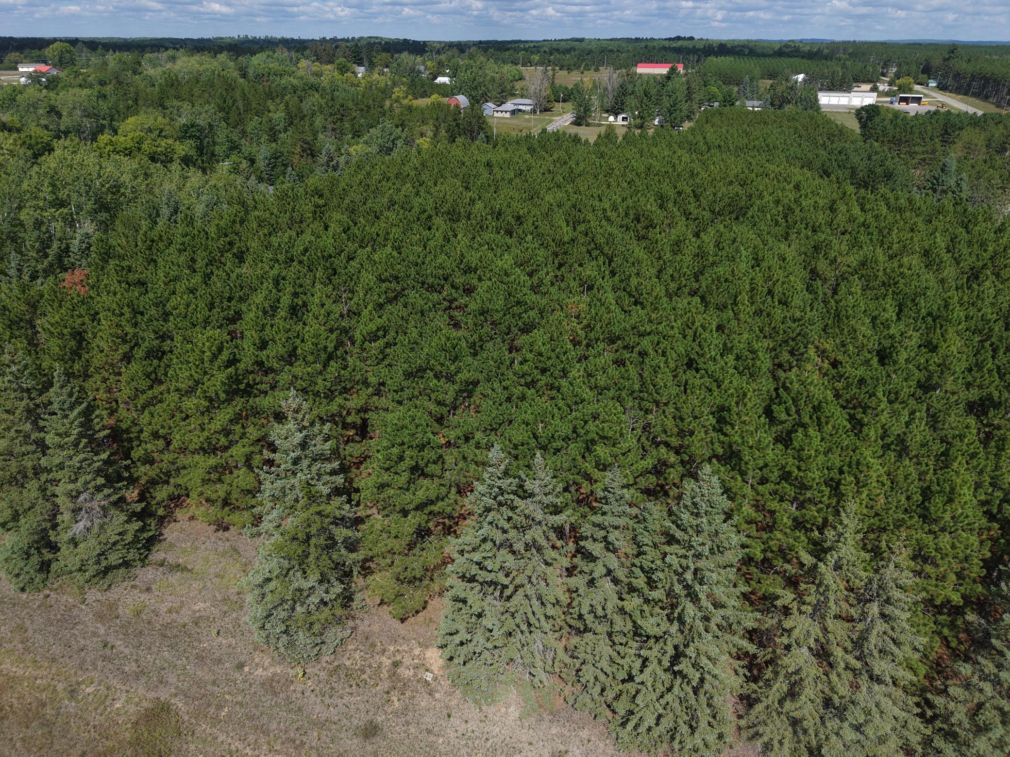 Tbd East Avenue Property Photo 13