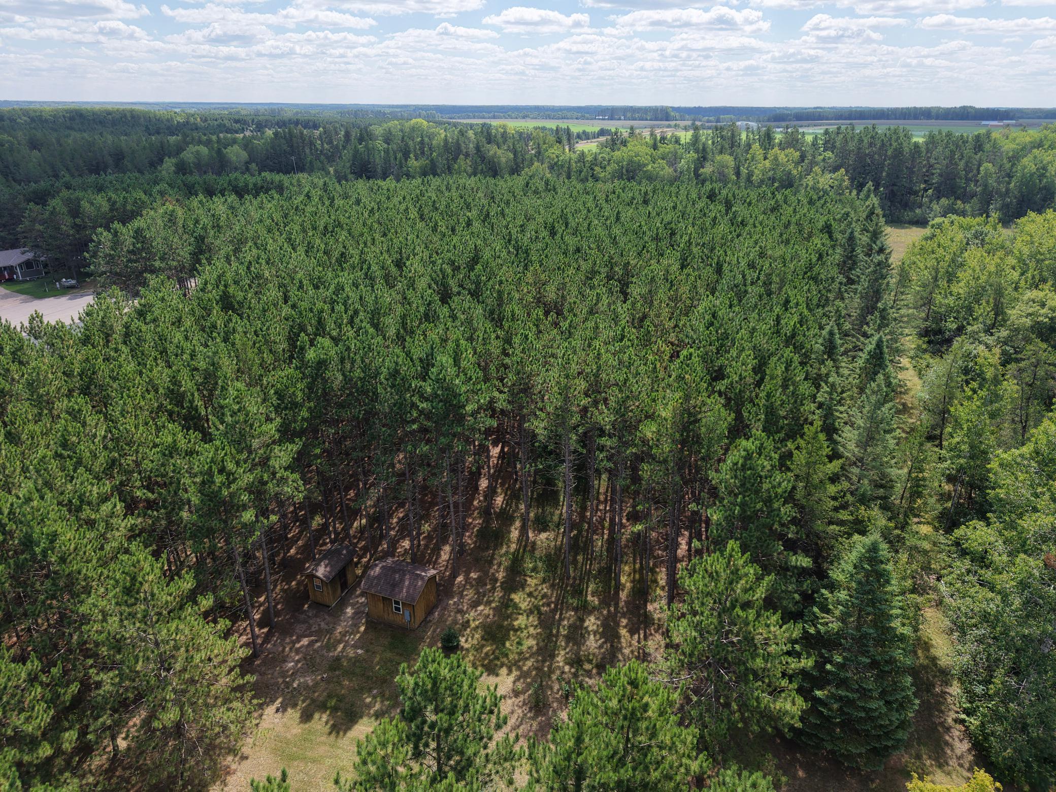 Tbd East Avenue Property Photo 14