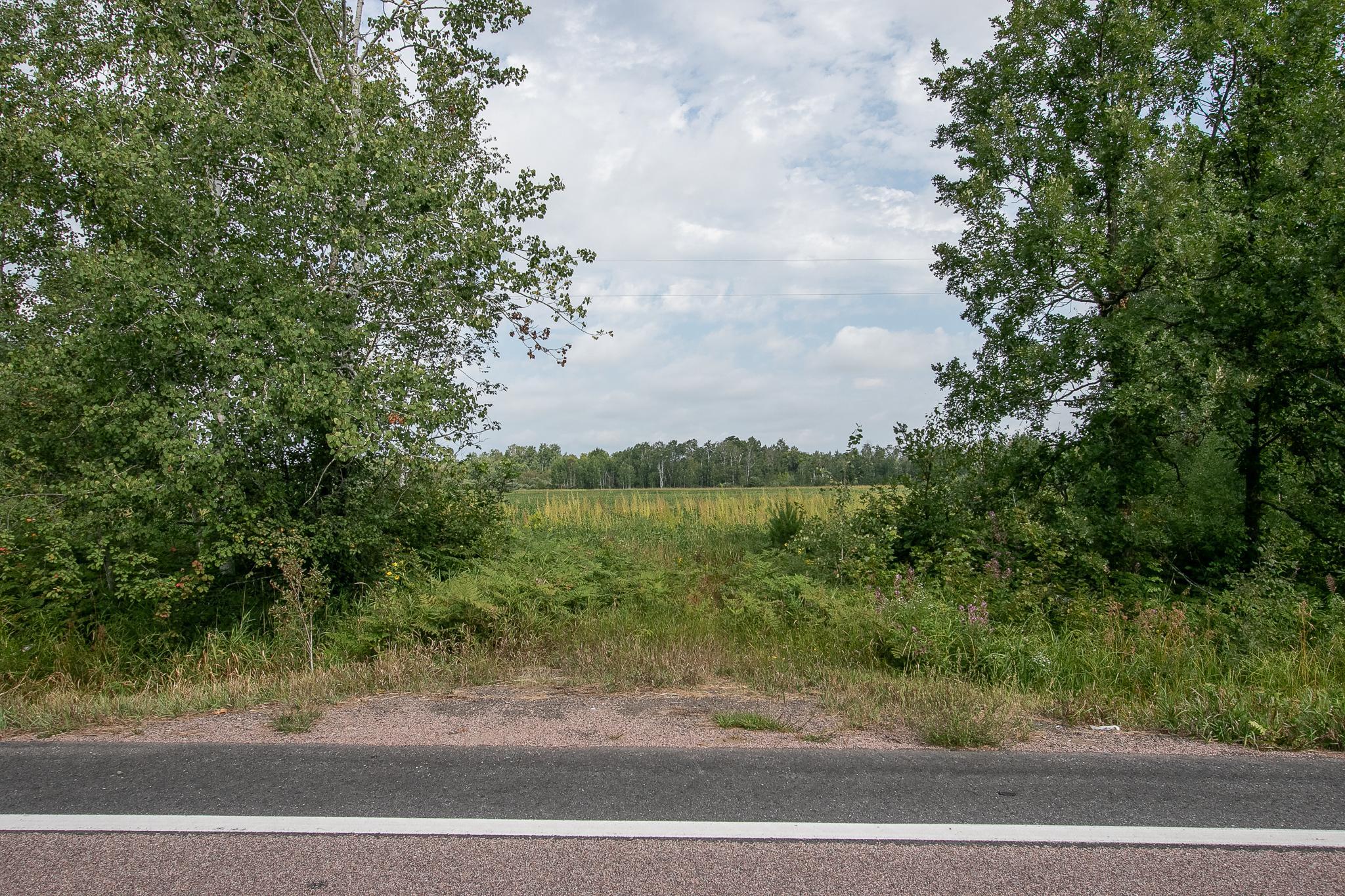 Tbd County Road 11 Property Photo 1