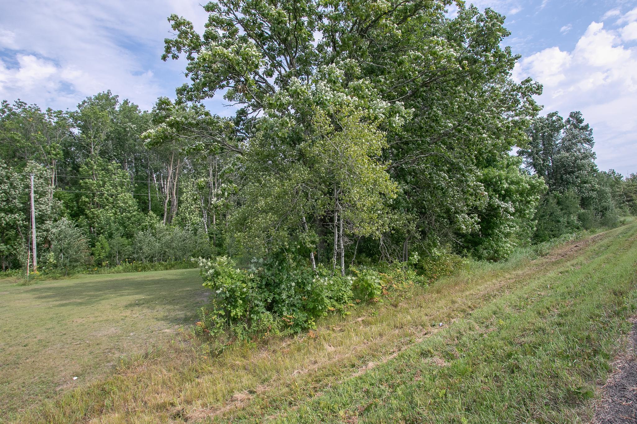 Tbd County Road 11 Property Photo 3