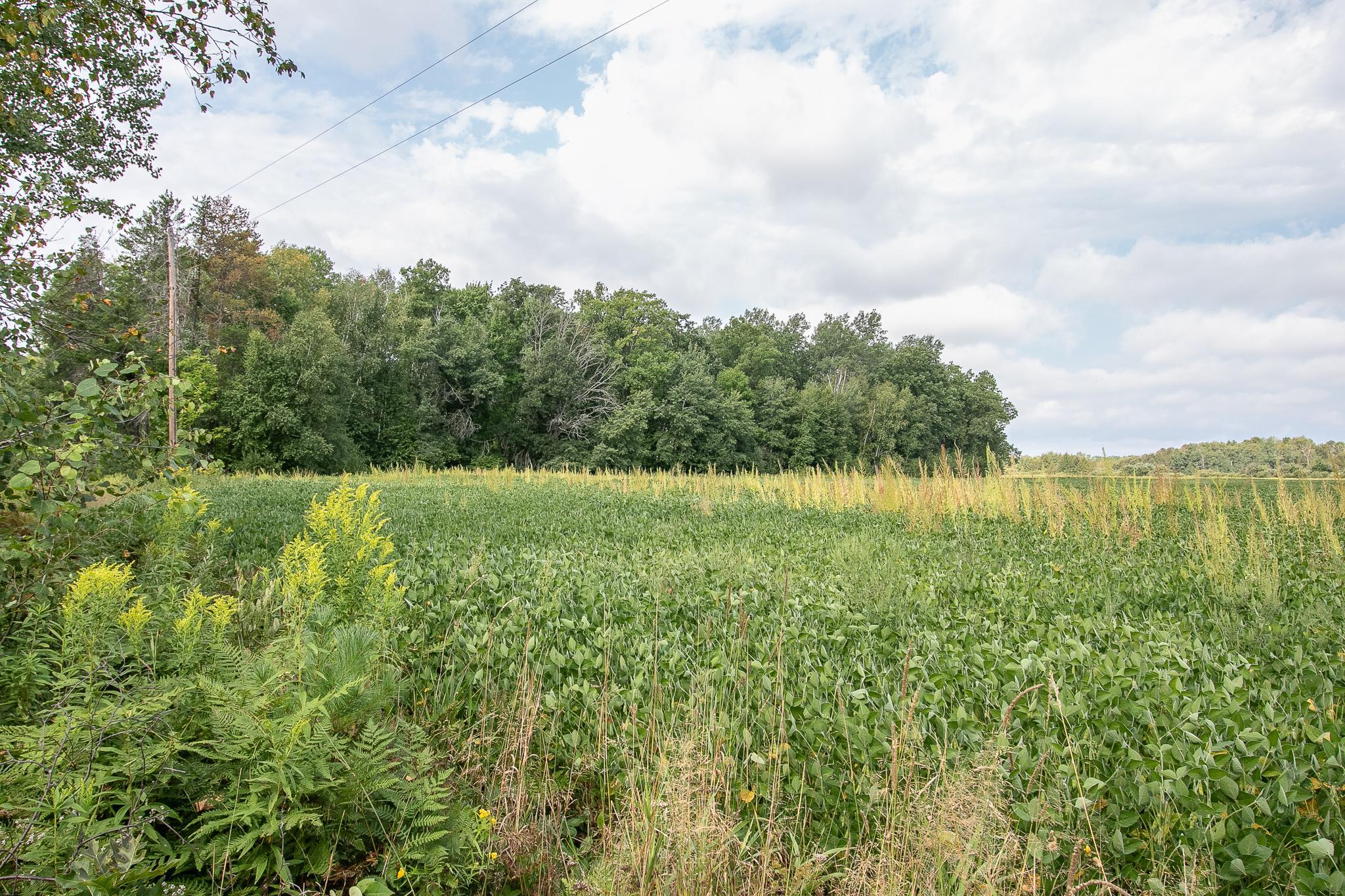Tbd County Road 11 Property Photo 6
