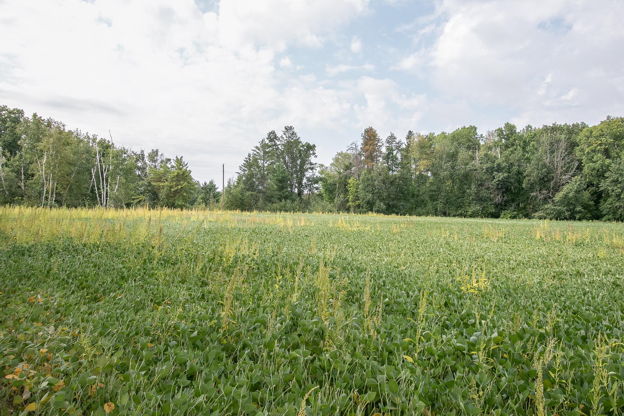 Tbd County Road 11 Property Photo 8