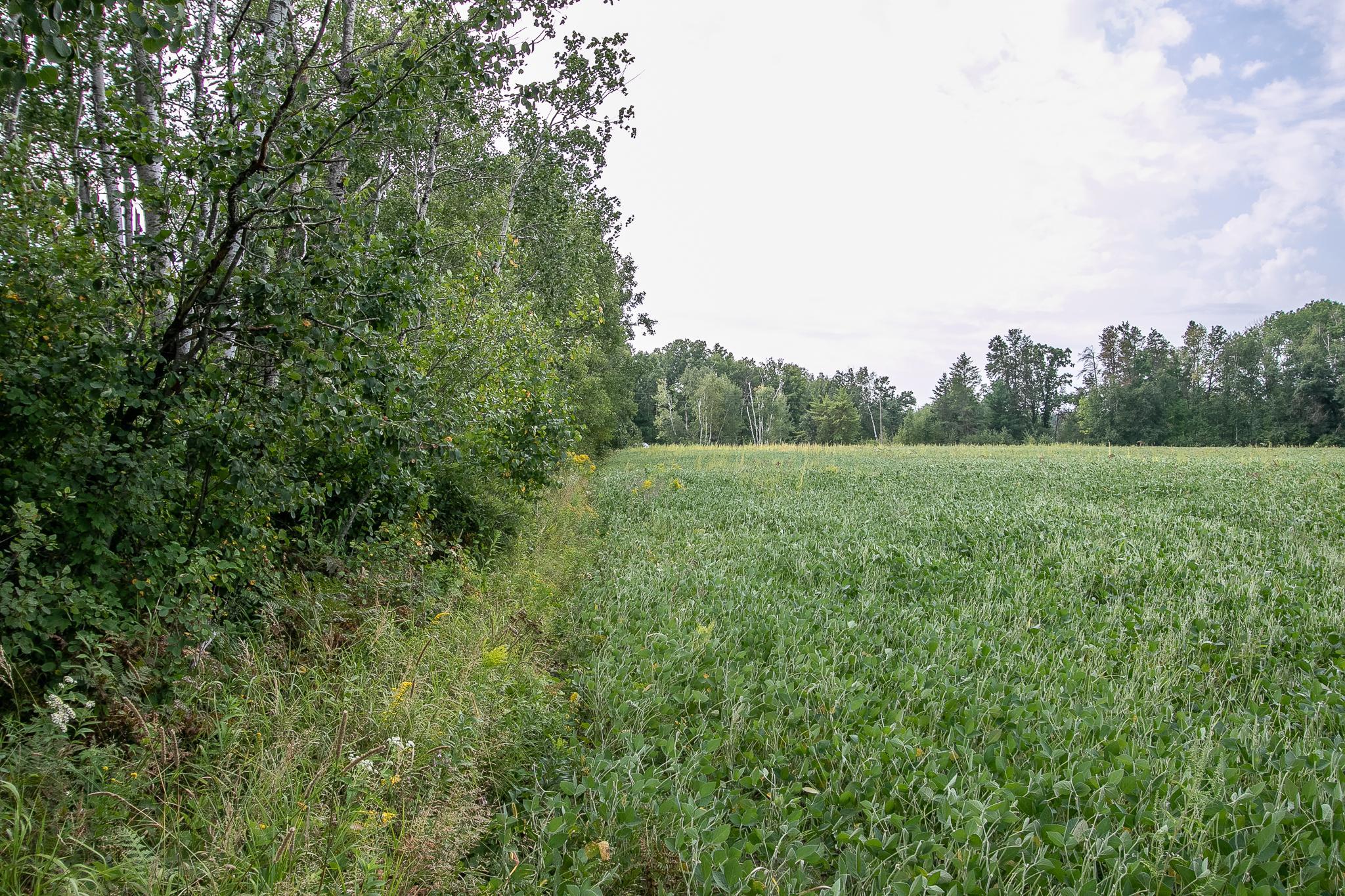 Tbd County Road 11 Property Photo 9