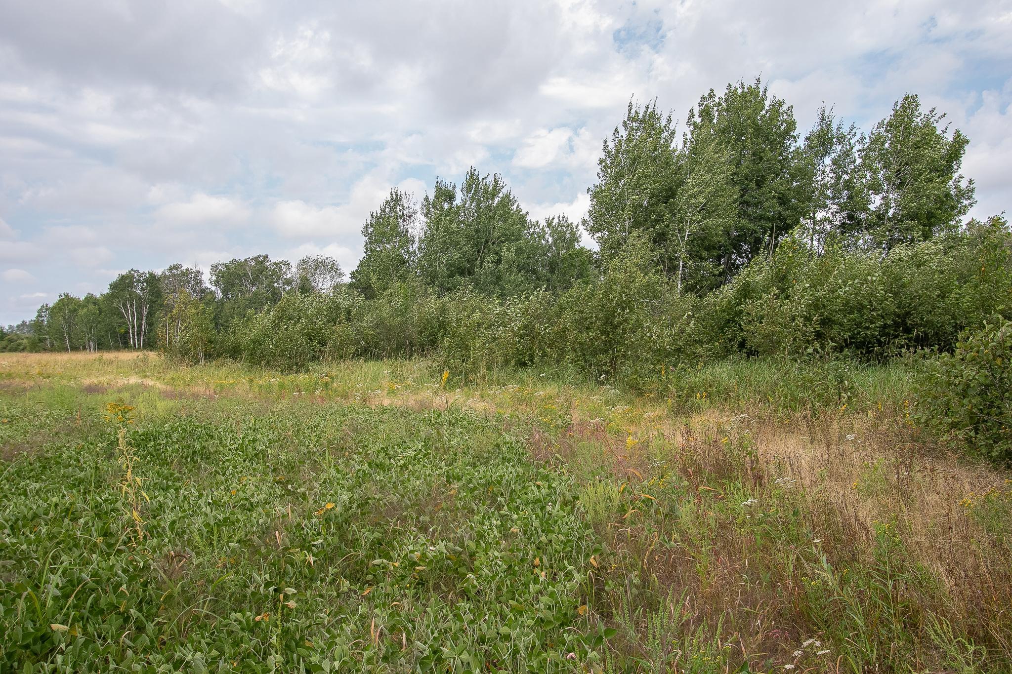 Tbd County Road 11 Property Photo 11