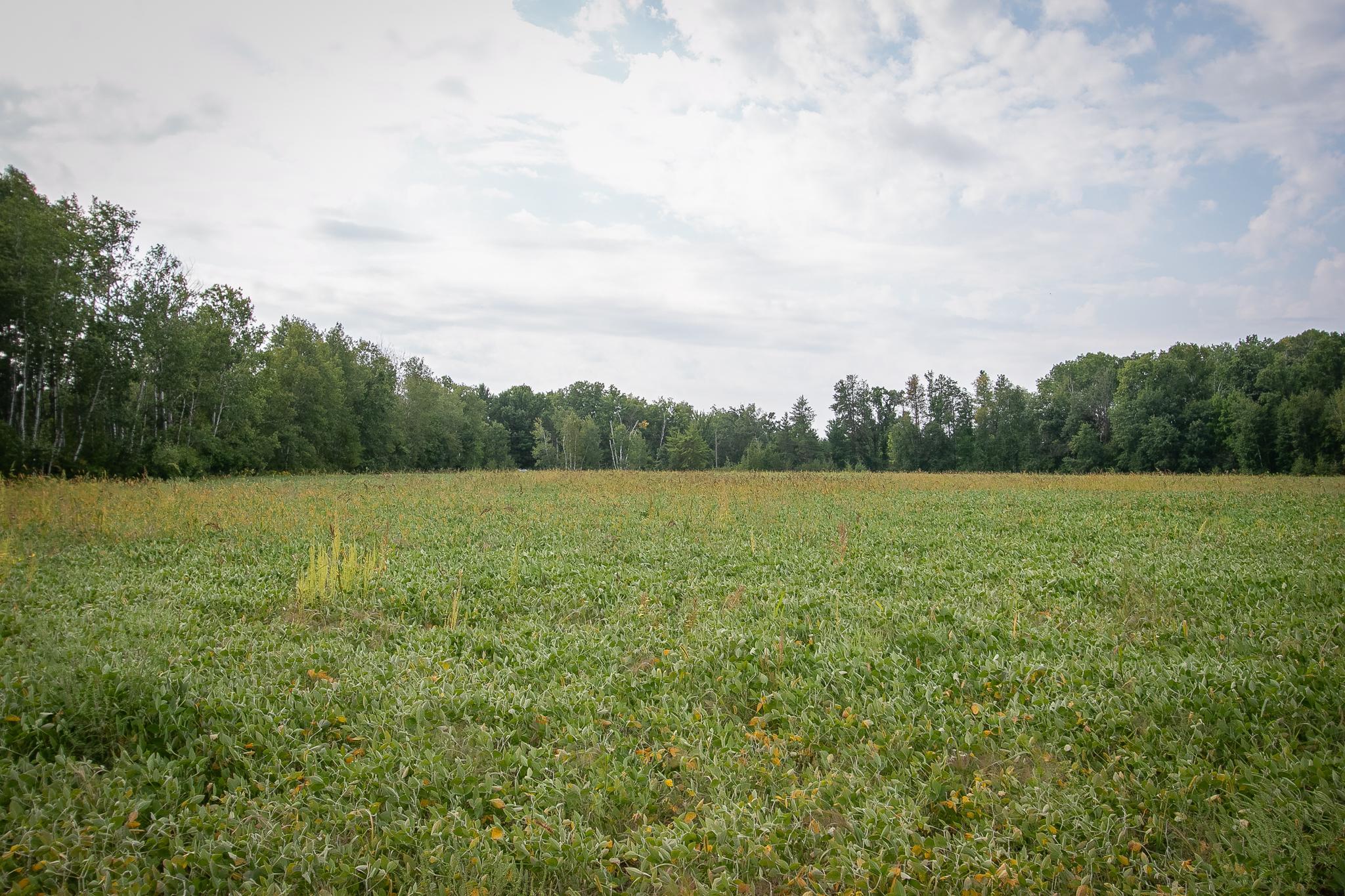 Tbd County Road 11 Property Photo 12