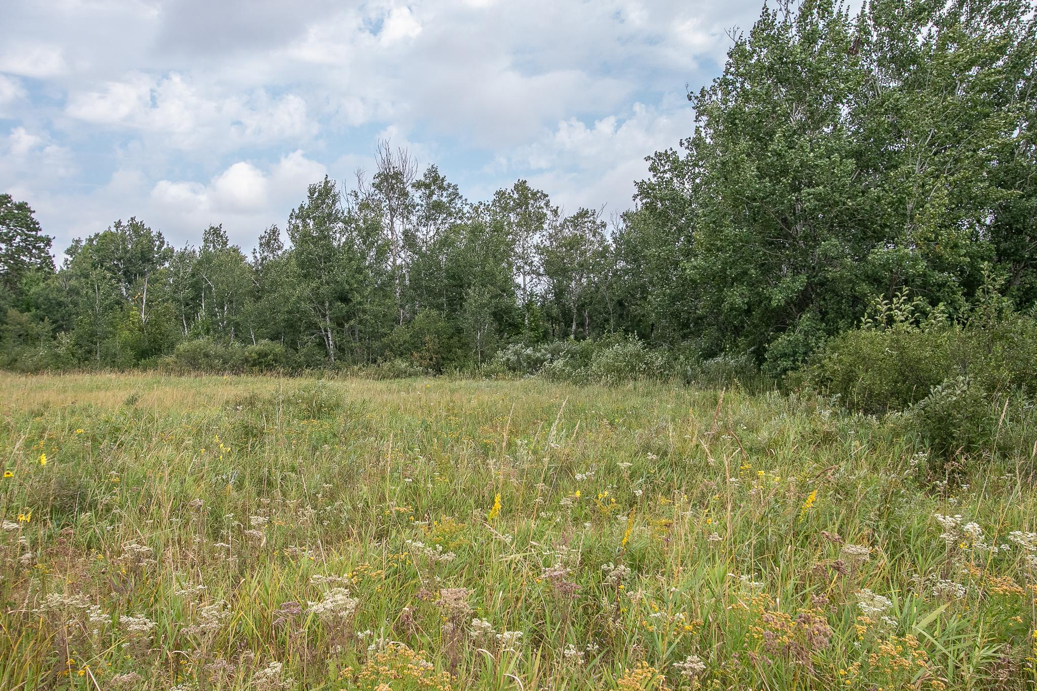 Tbd County Road 11 Property Photo 13