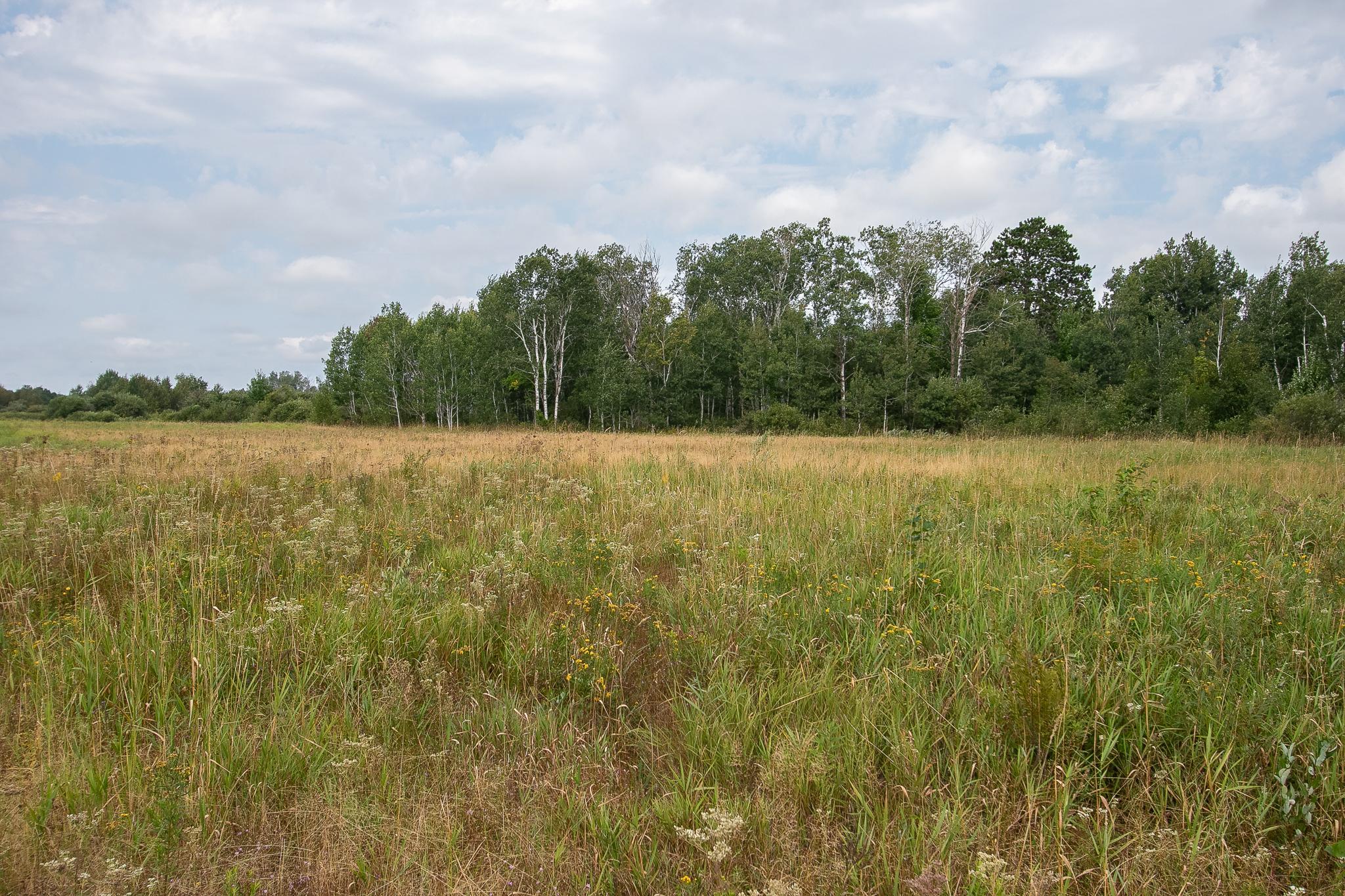 Tbd County Road 11 Property Photo 14