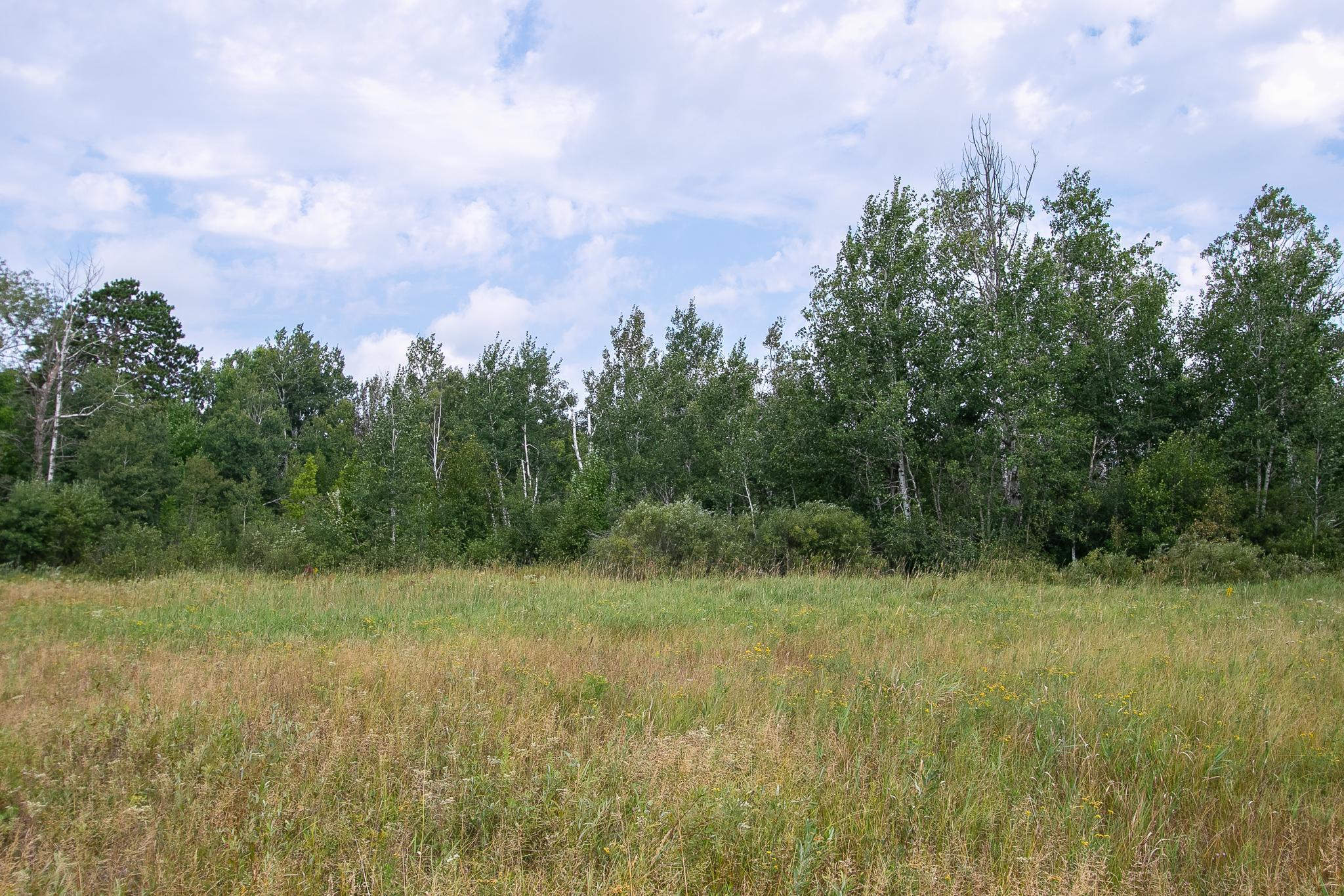 Tbd County Road 11 Property Photo 15