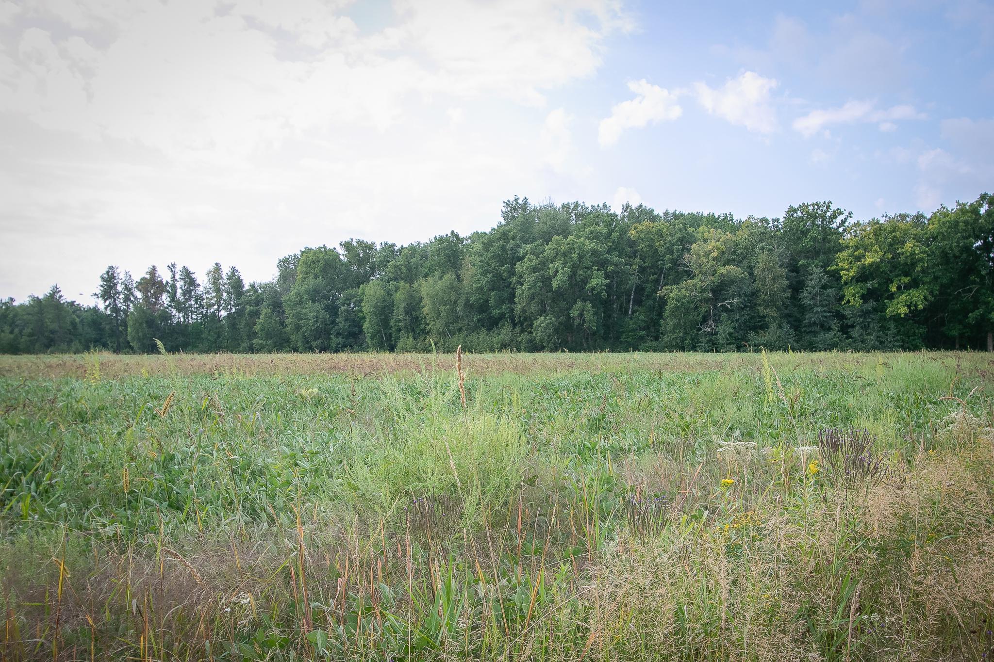 Tbd County Road 11 Property Photo 16