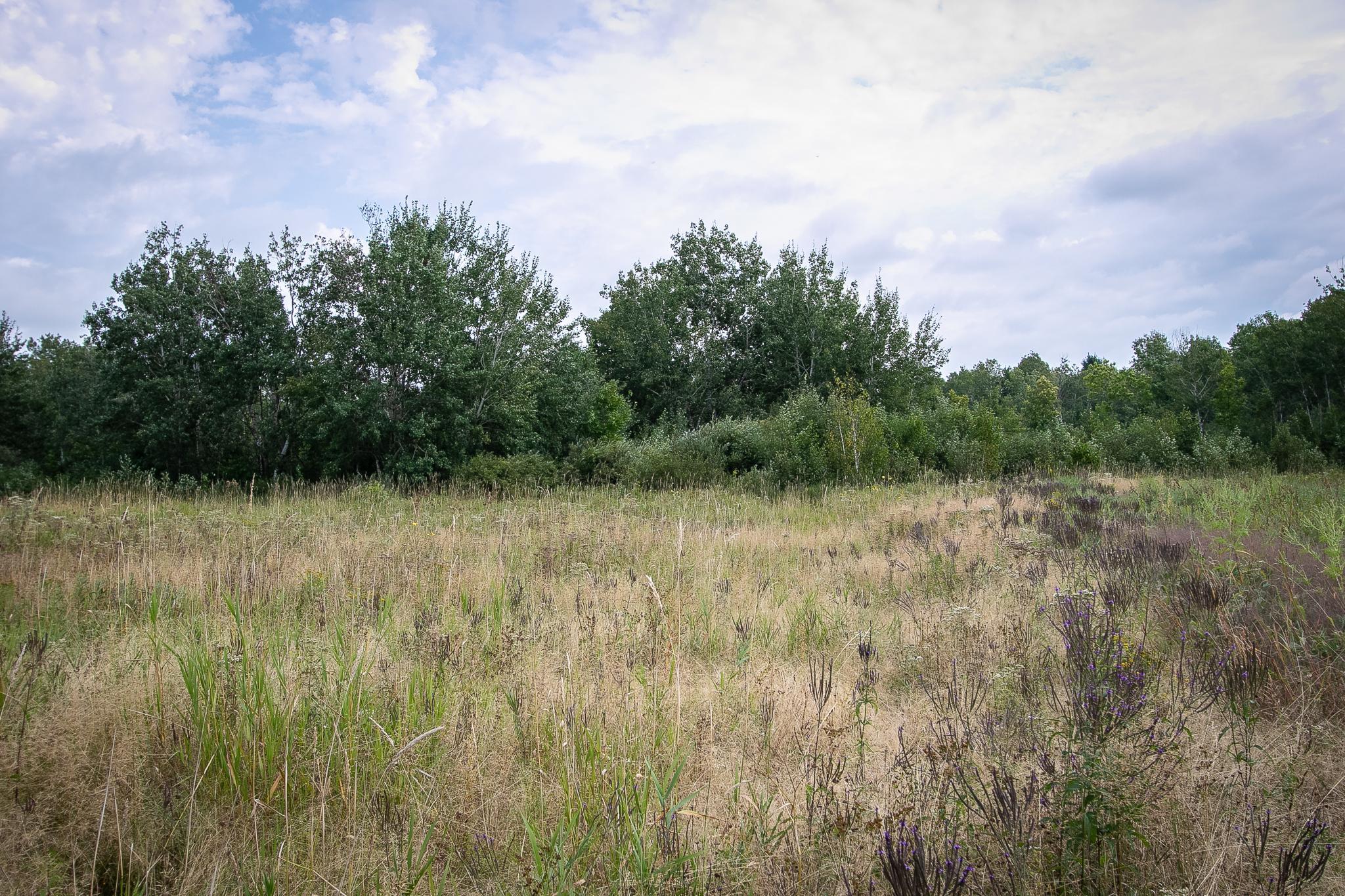 Tbd County Road 11 Property Photo 17