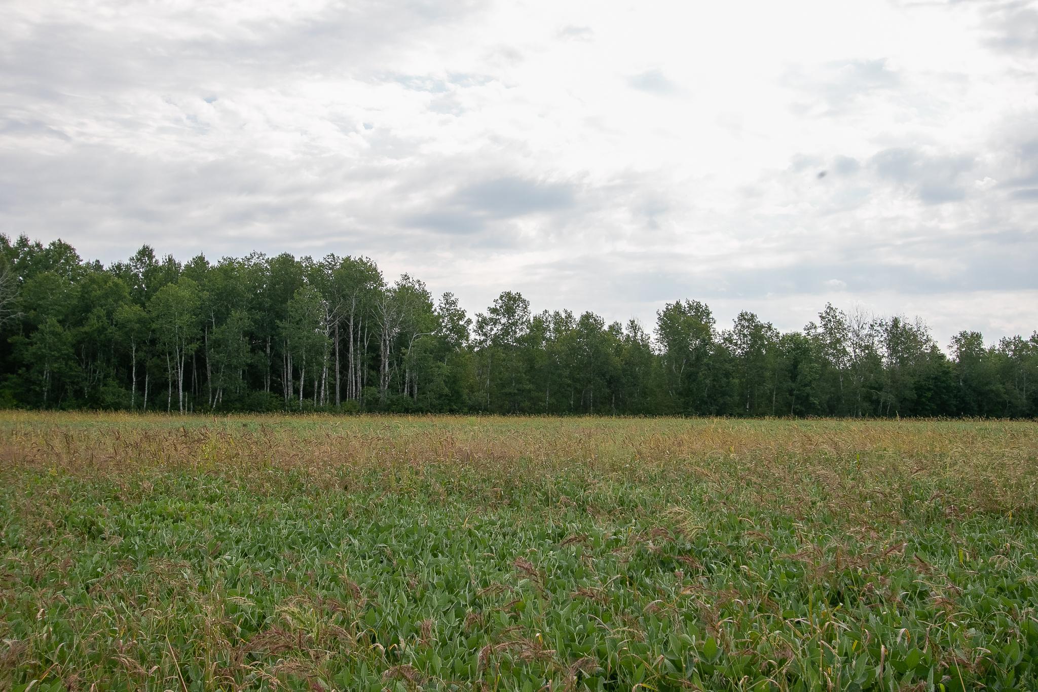 Tbd County Road 11 Property Photo 18