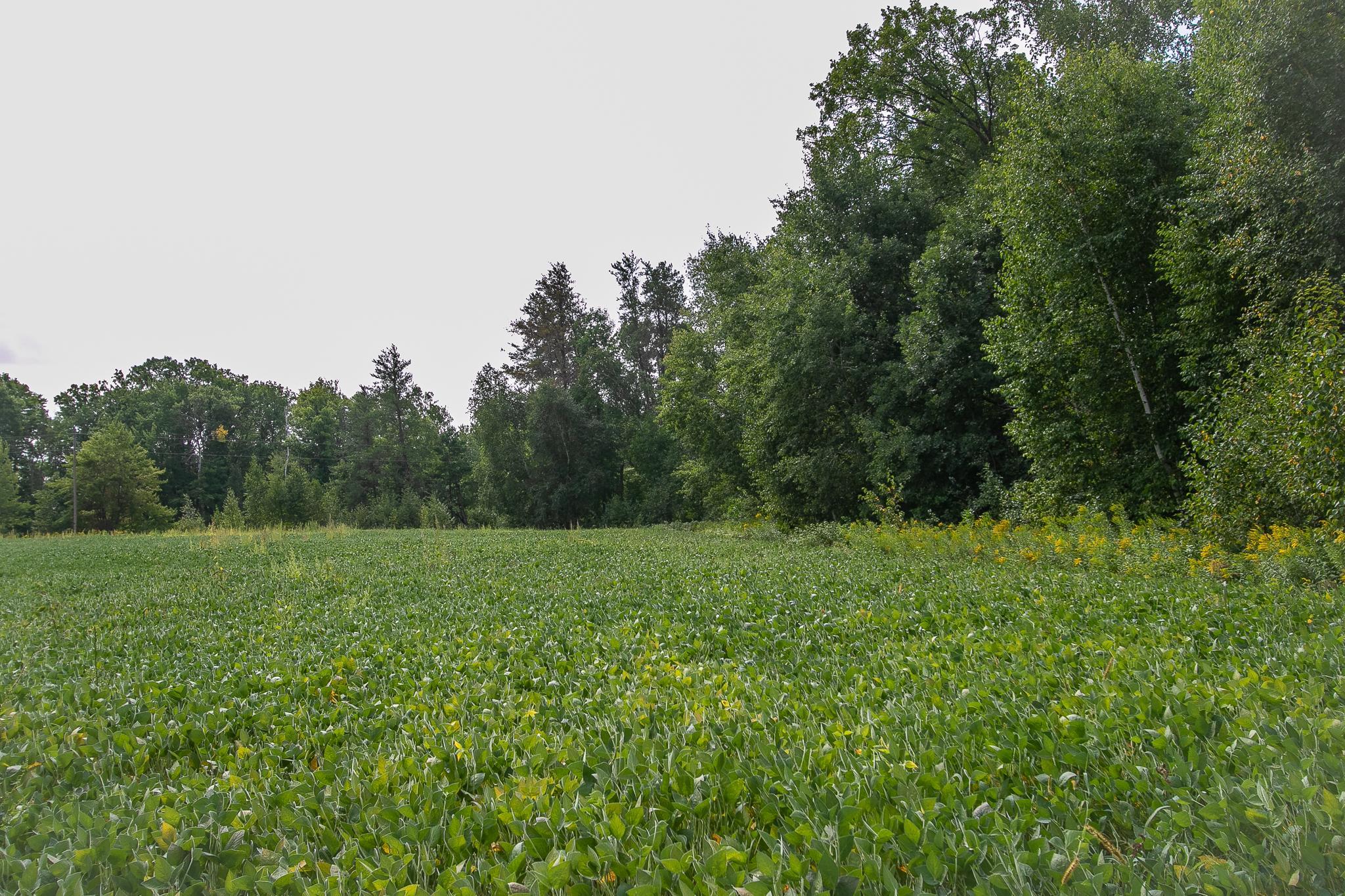 Tbd County Road 11 Property Photo 21