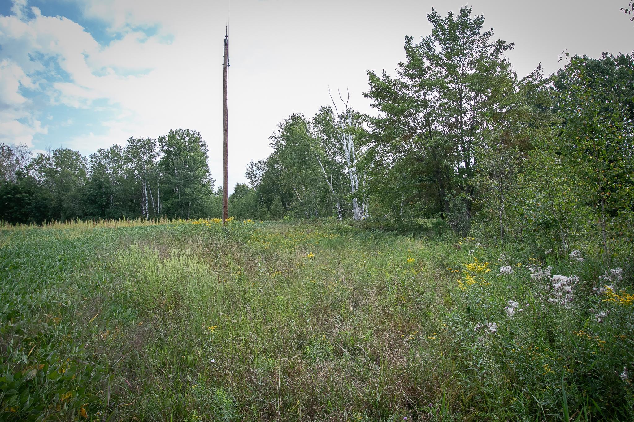 Tbd County Road 11 Property Photo 23