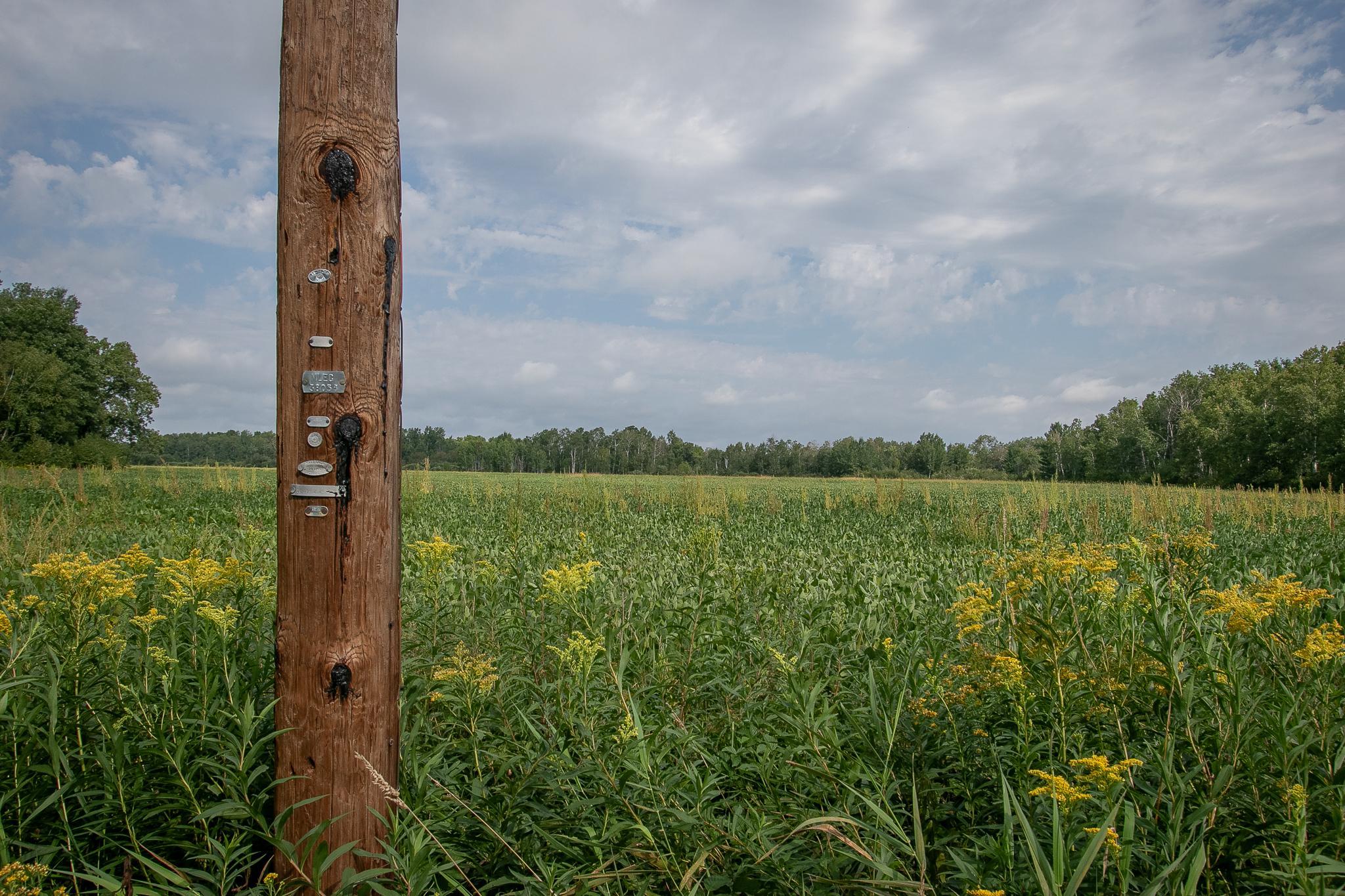 Tbd County Road 11 Property Photo 24
