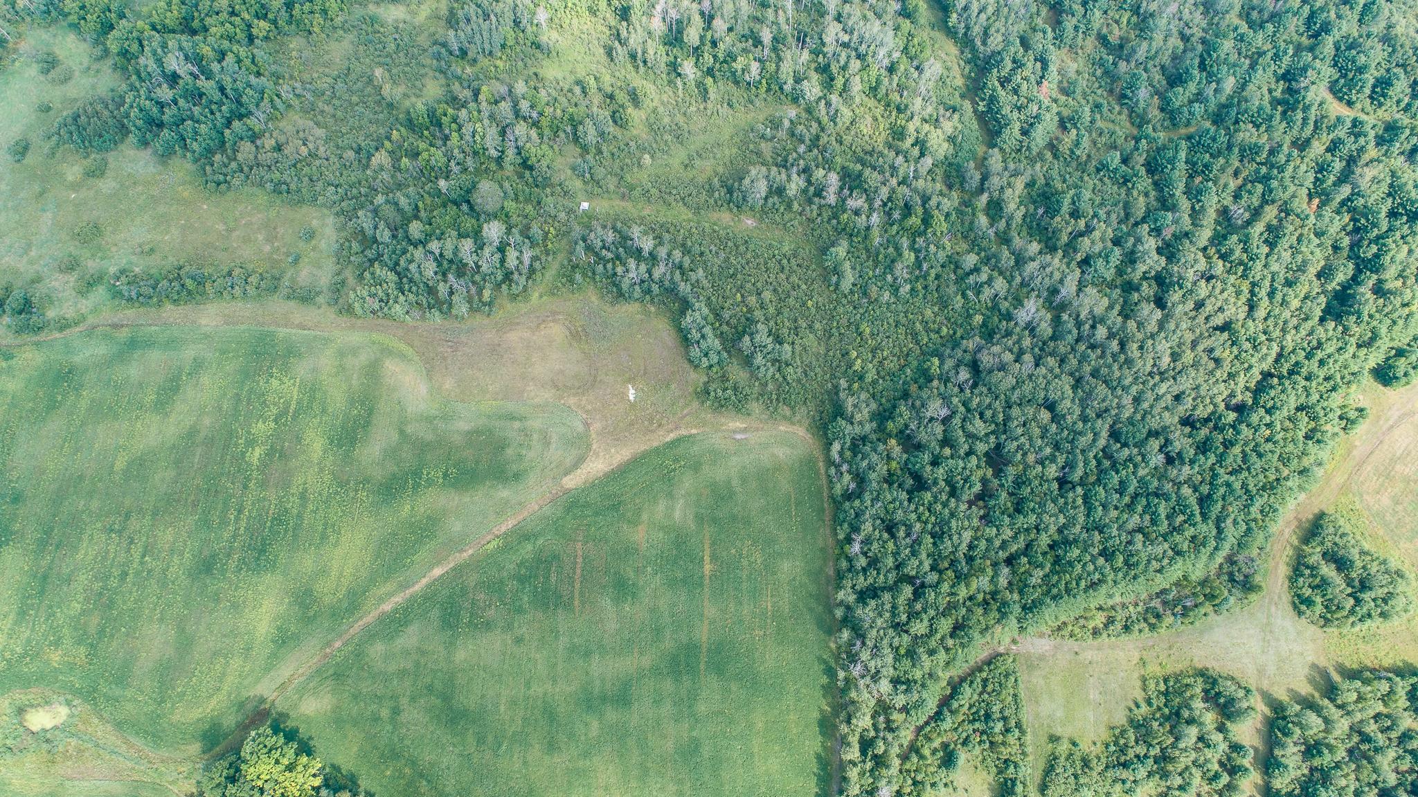 Tbd County Road 11 Property Photo 34