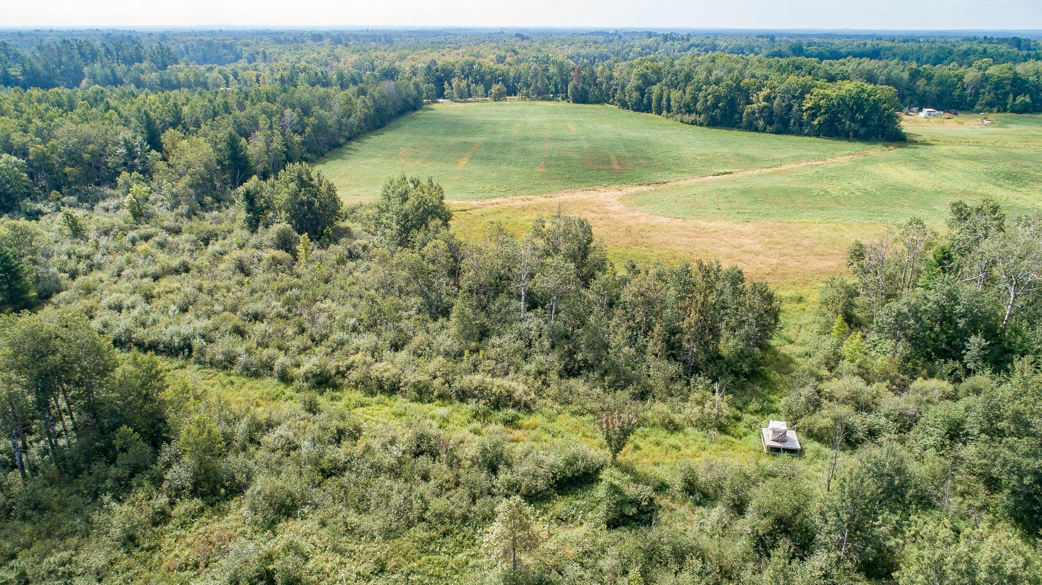 Tbd County Road 11 Property Photo 37