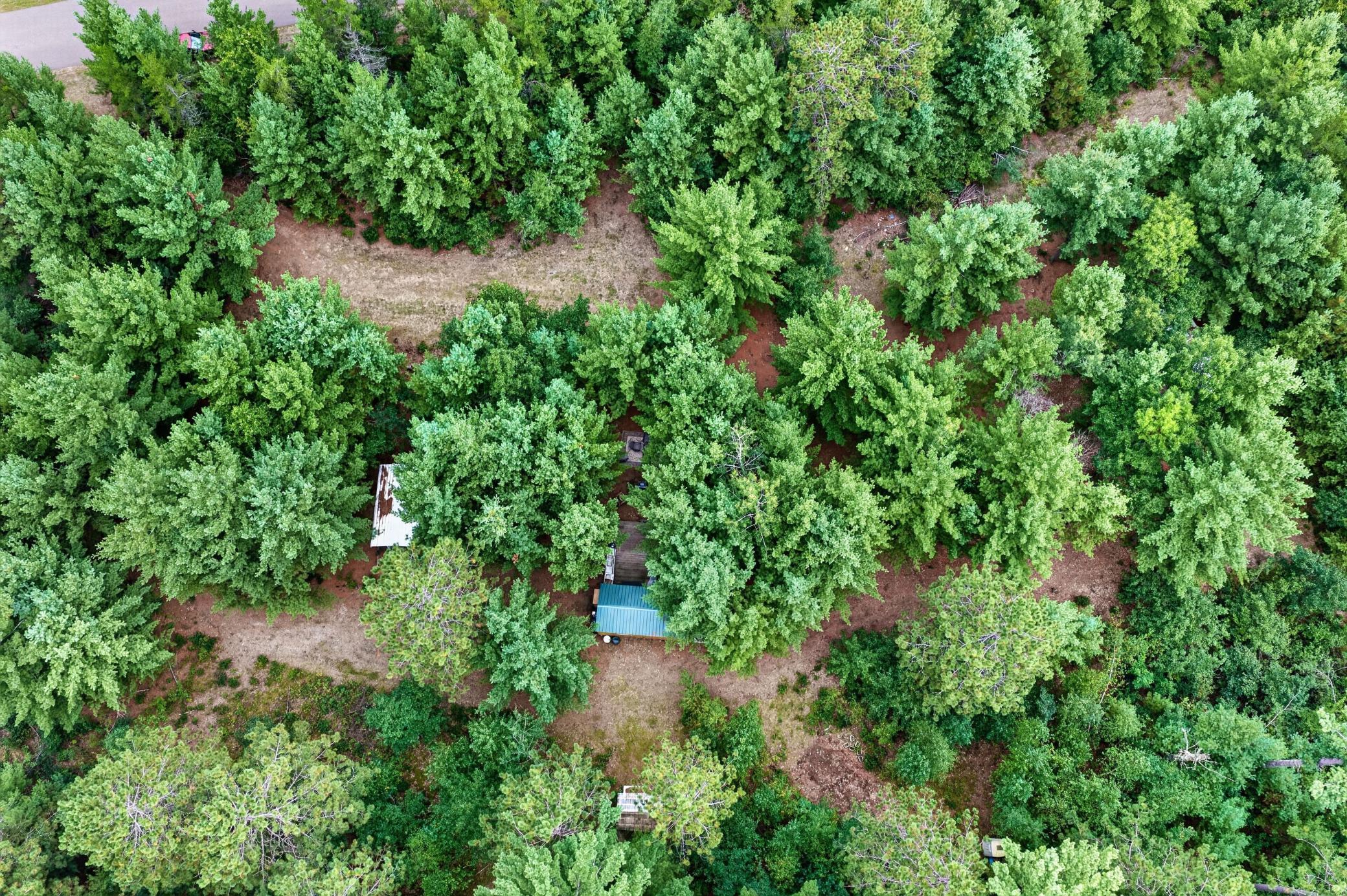 6995 Minerva Landing Property Photo 1