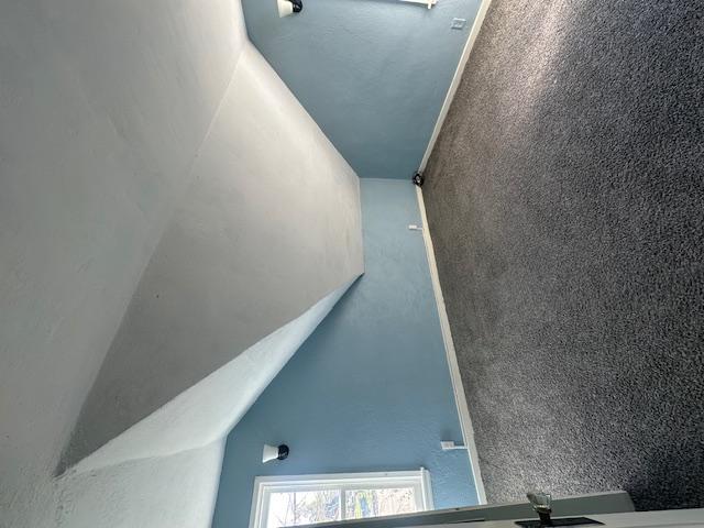 2311 Birchmont Drive Ne Property Photo 16