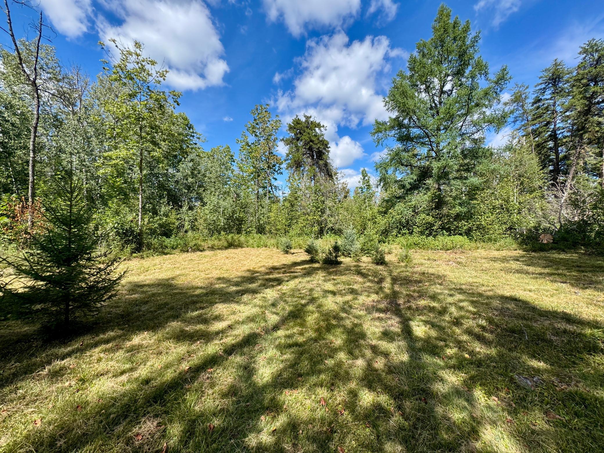 Tbd River Forest Road Property Photo 1