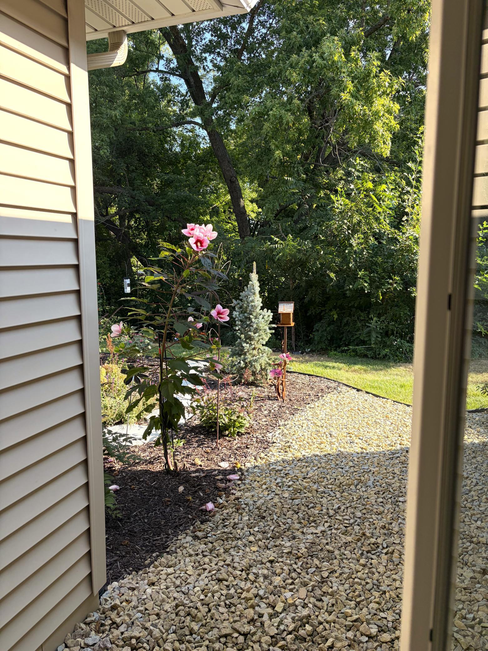 1823 Bohmbach Drive Property Photo 18