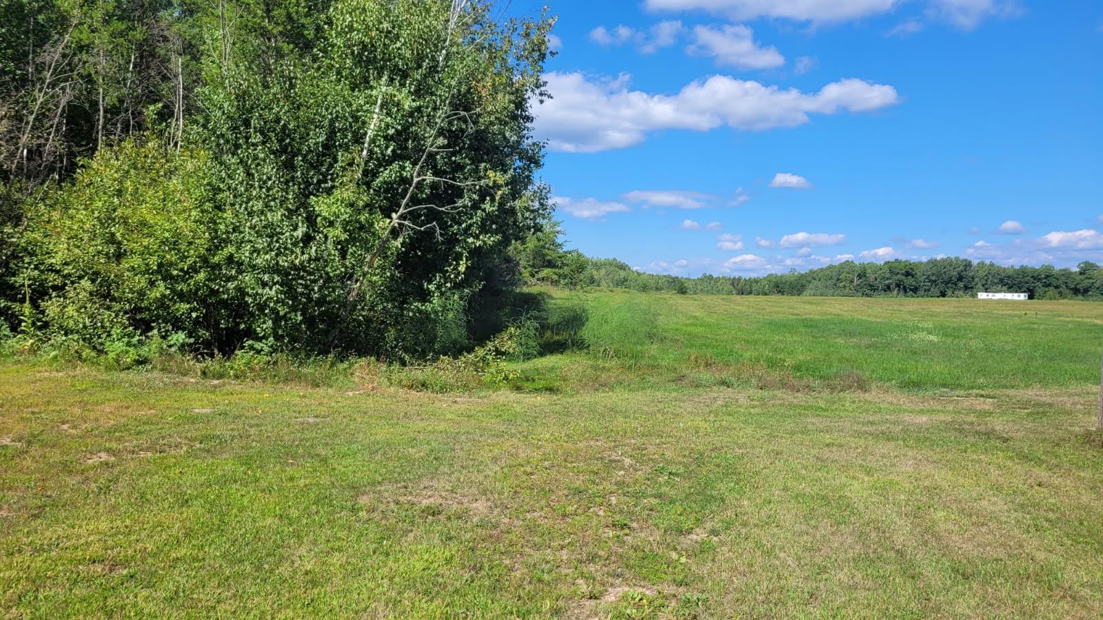 42512 Bulldozed Road Property Photo 7