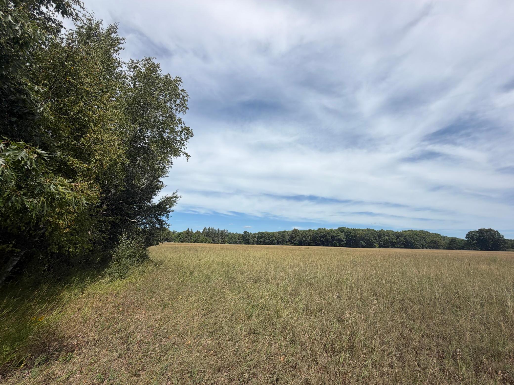 Tbd Lookout Road Property Photo 7