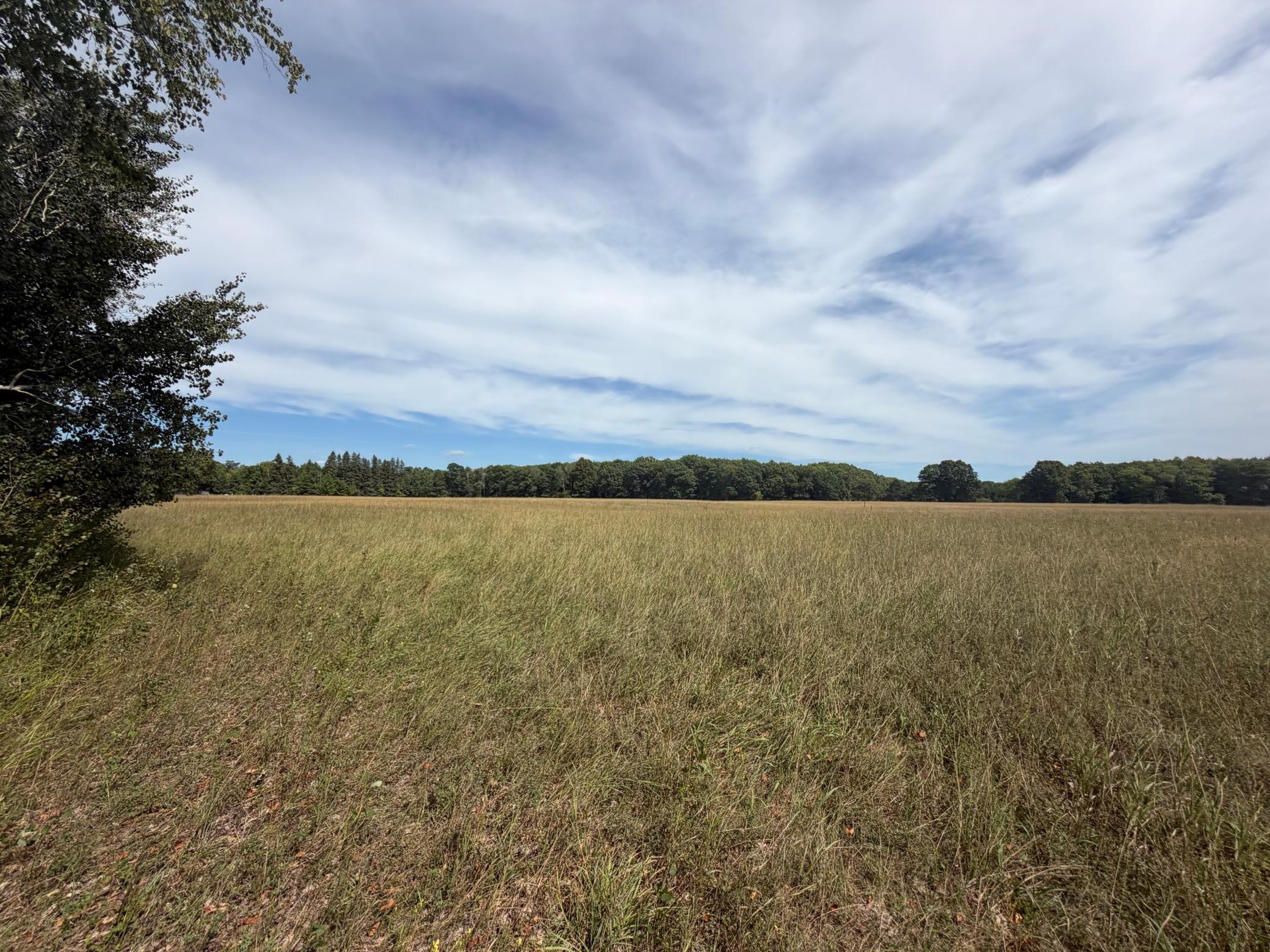 Tbd Lookout Road Property Photo 9