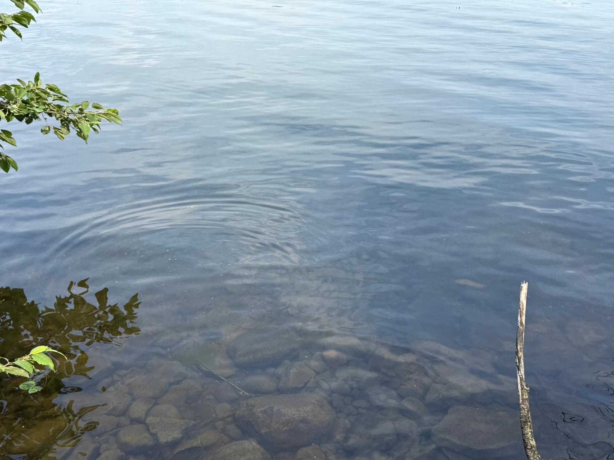 Tbd2 Long Lake Road Property Photo 6