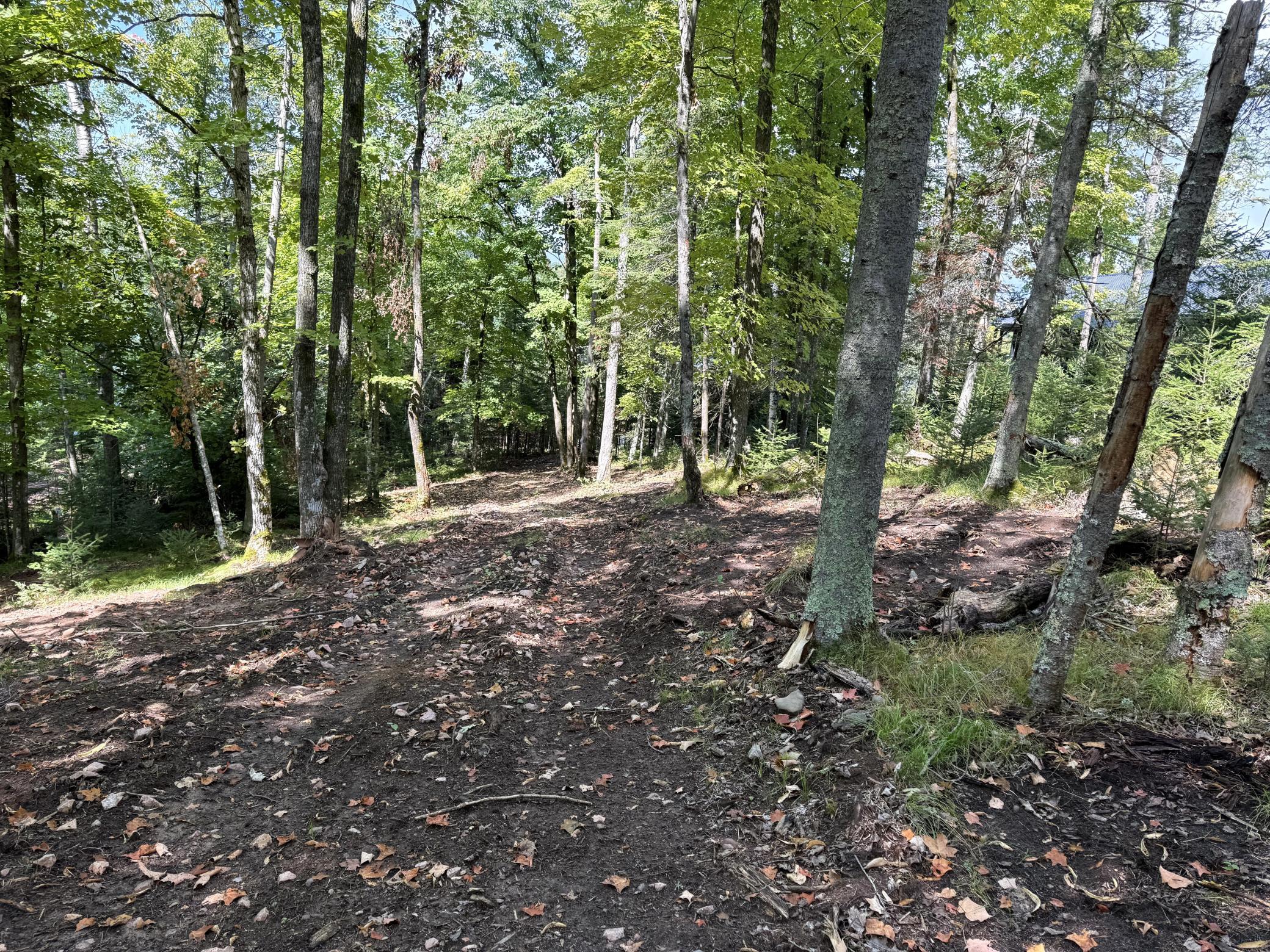 Tbd2 Long Lake Road Property Photo 8
