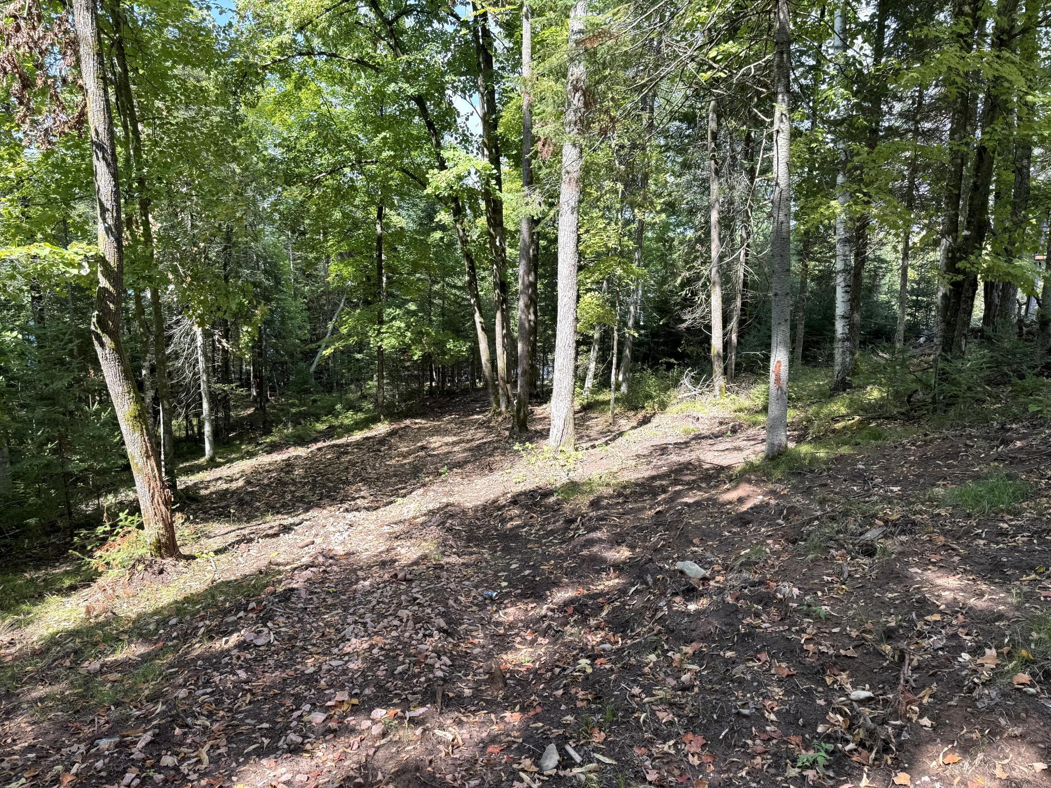 Tbd2 Long Lake Road Property Photo 9