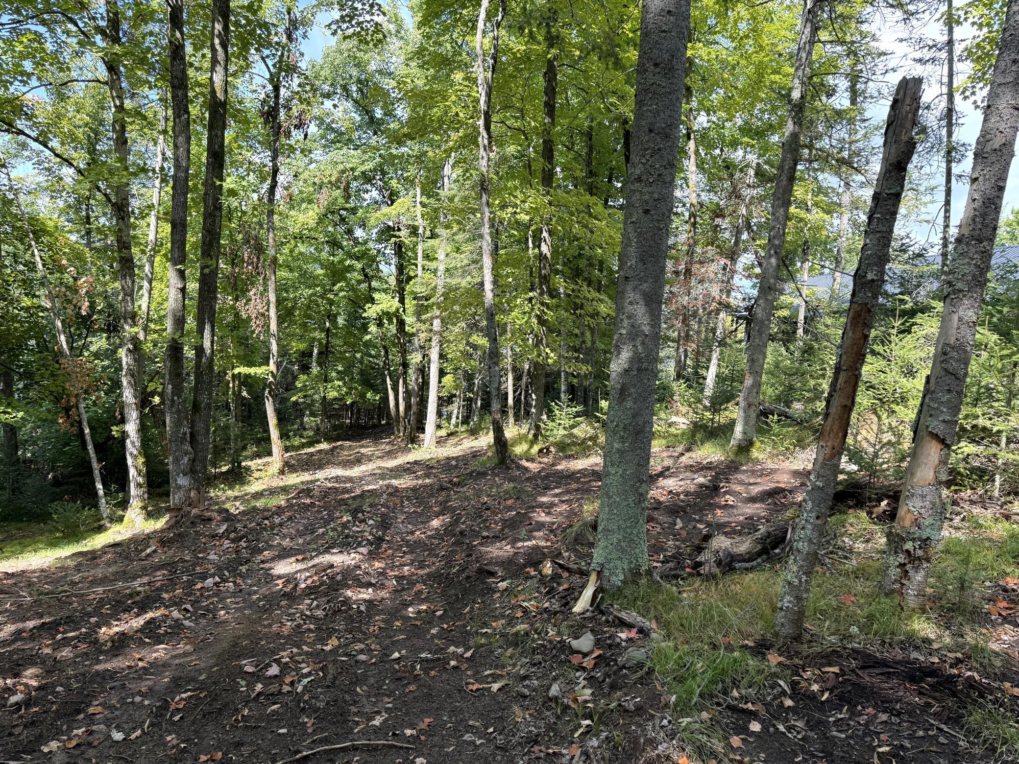 Tbd2 Long Lake Road Property Photo 10