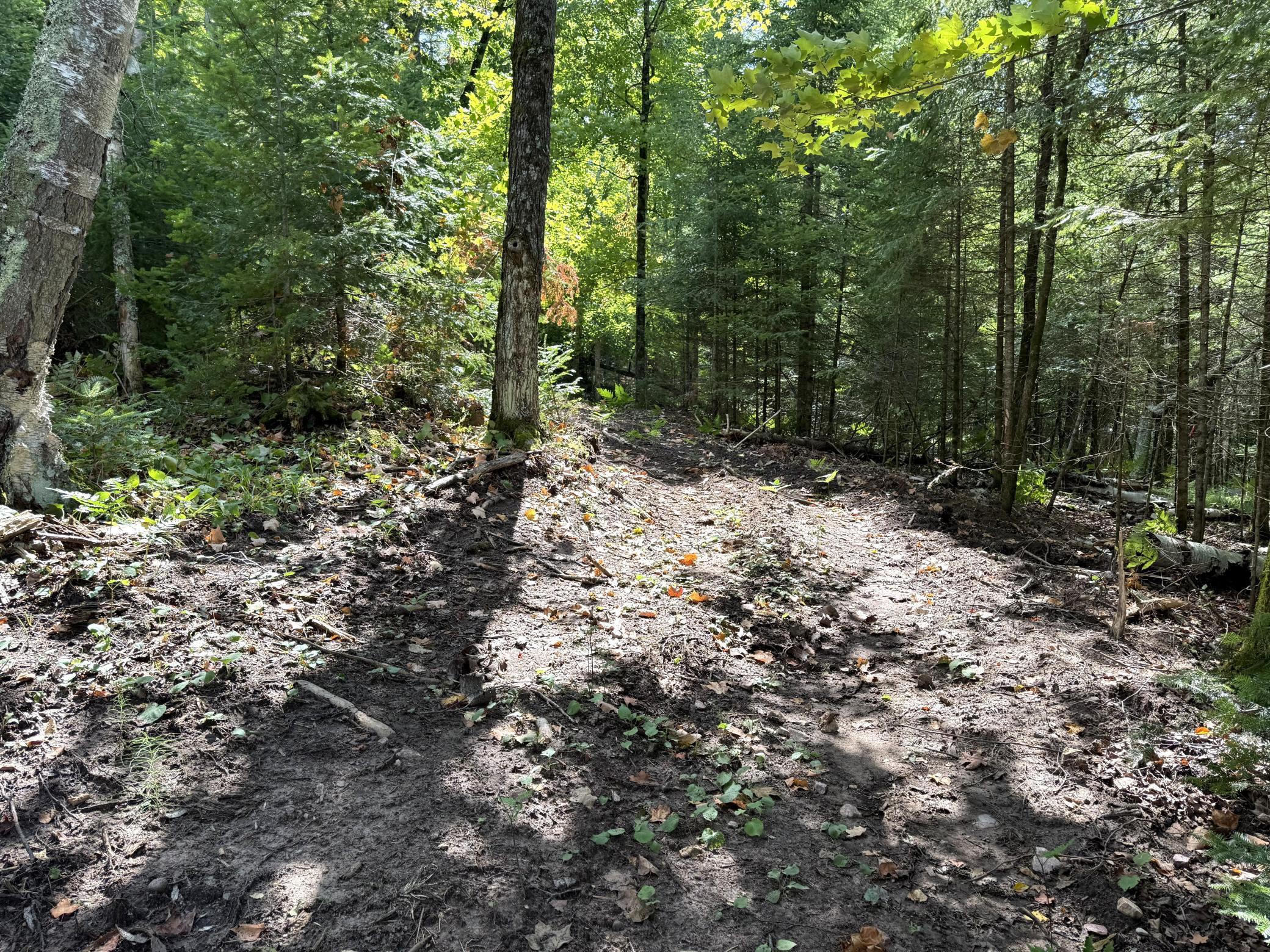 Tbd2 Long Lake Road Property Photo 11
