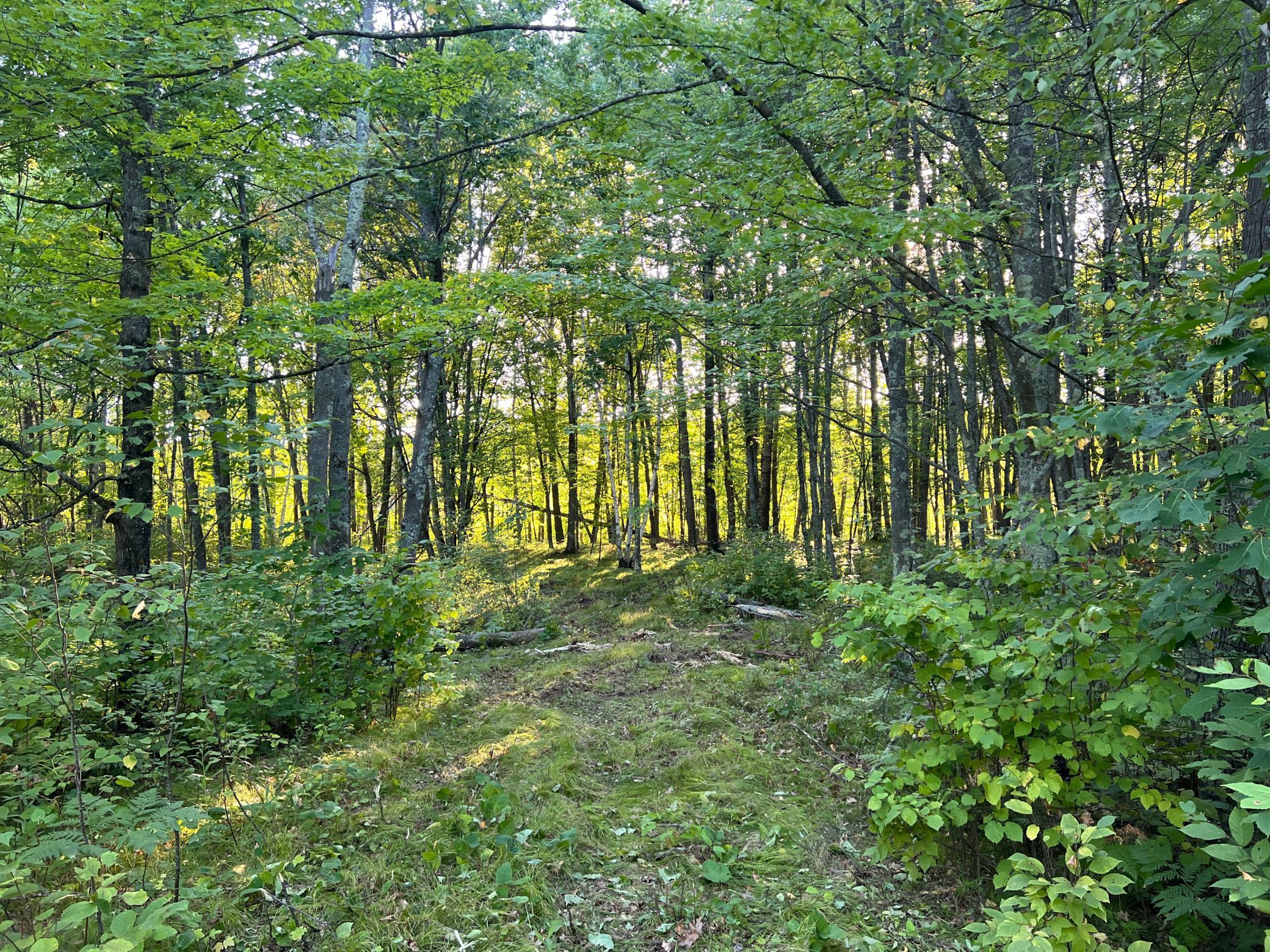 000 Dell Rd Property Photo 3