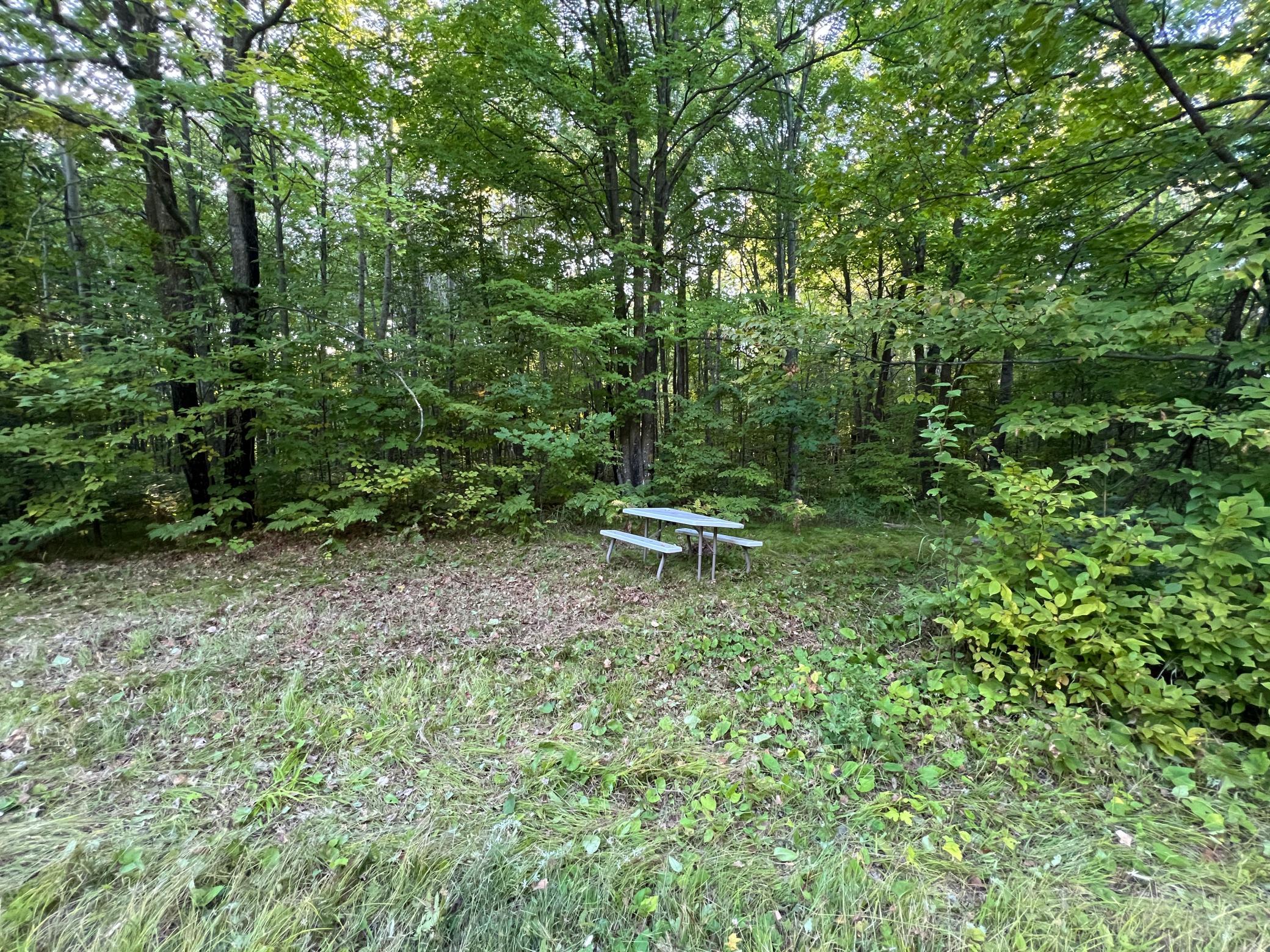 000 Dell Rd Property Photo 8