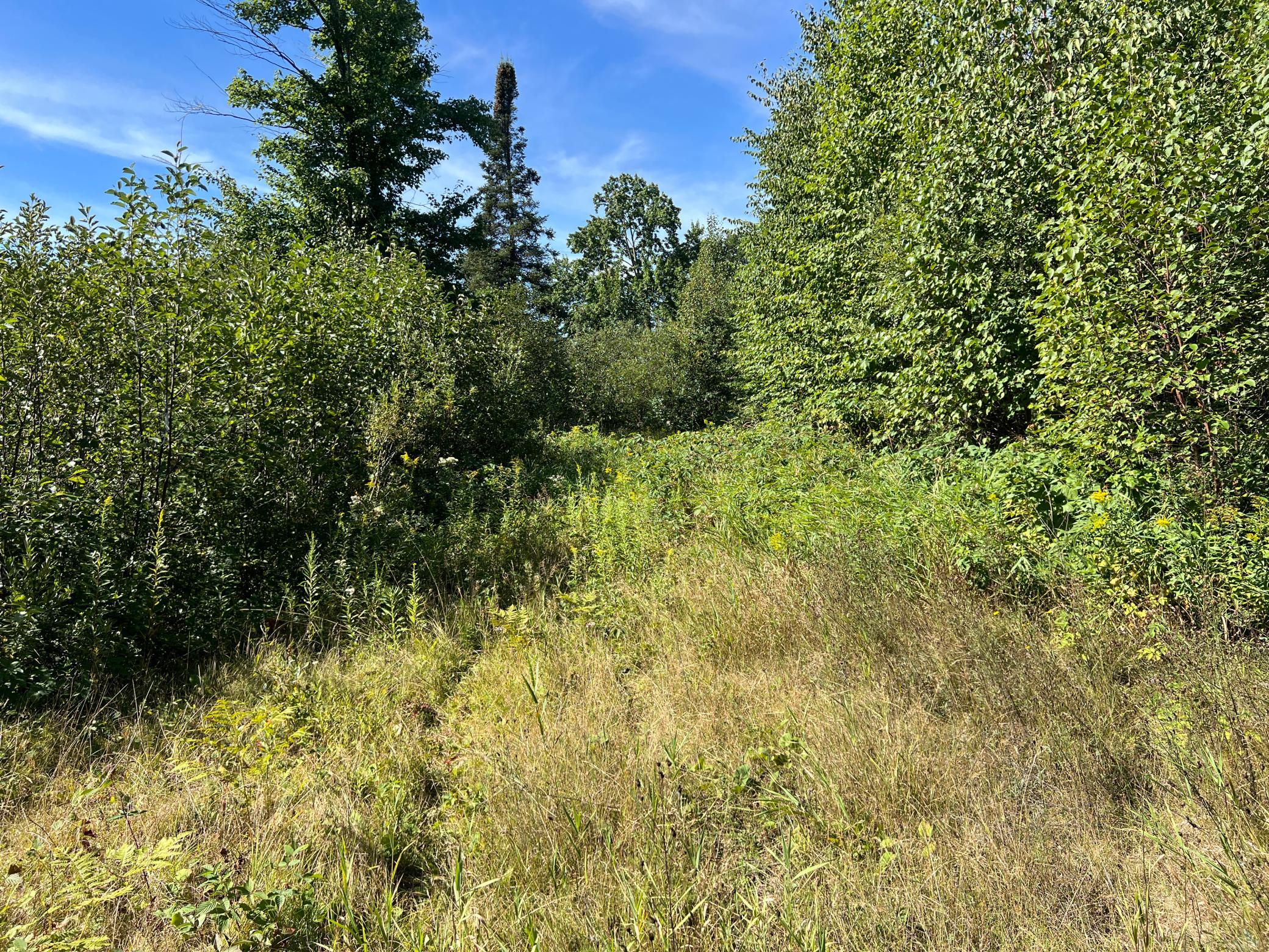 000 Dell Rd Property Photo 12