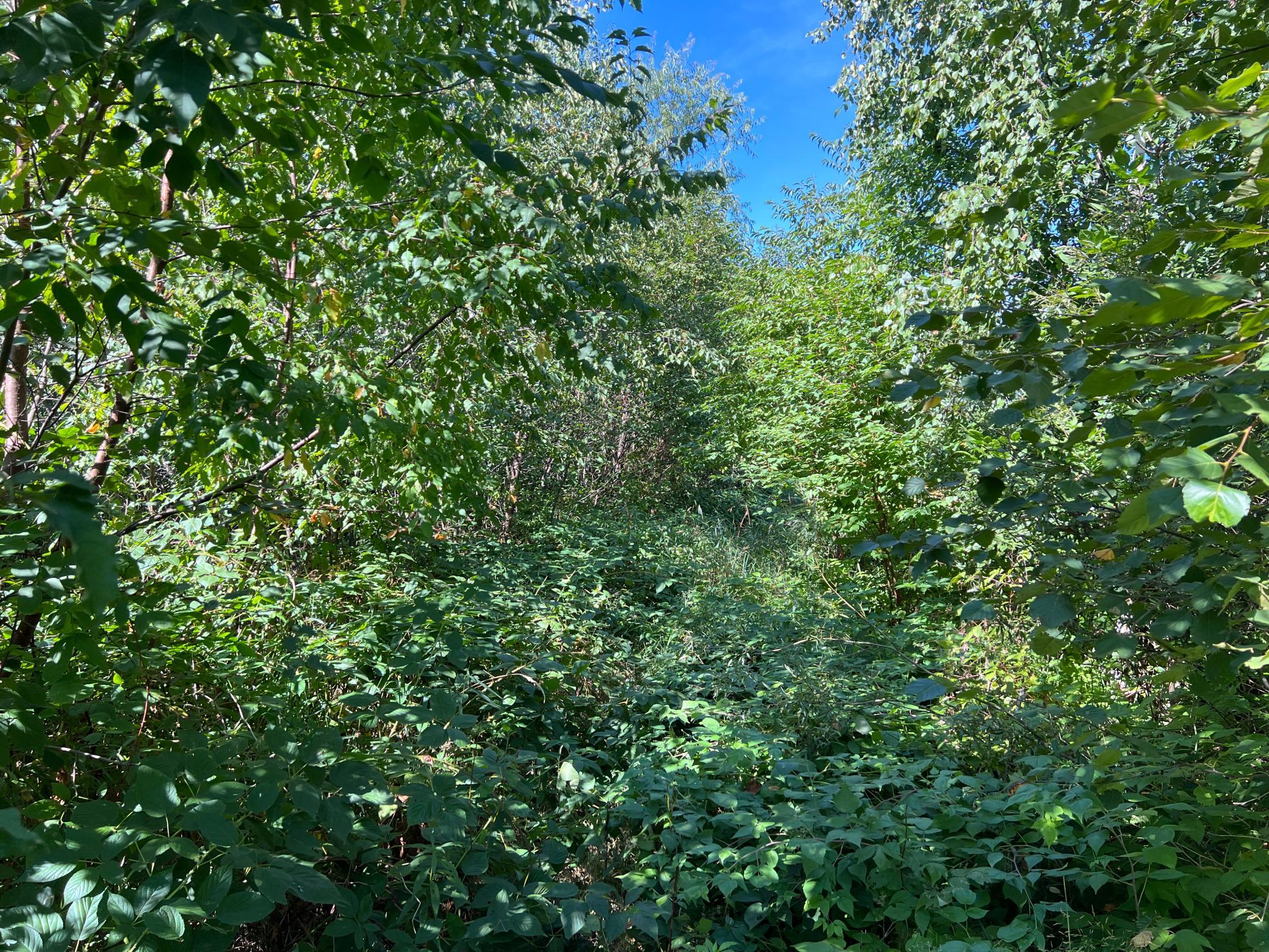 000 Dell Rd Property Photo 13