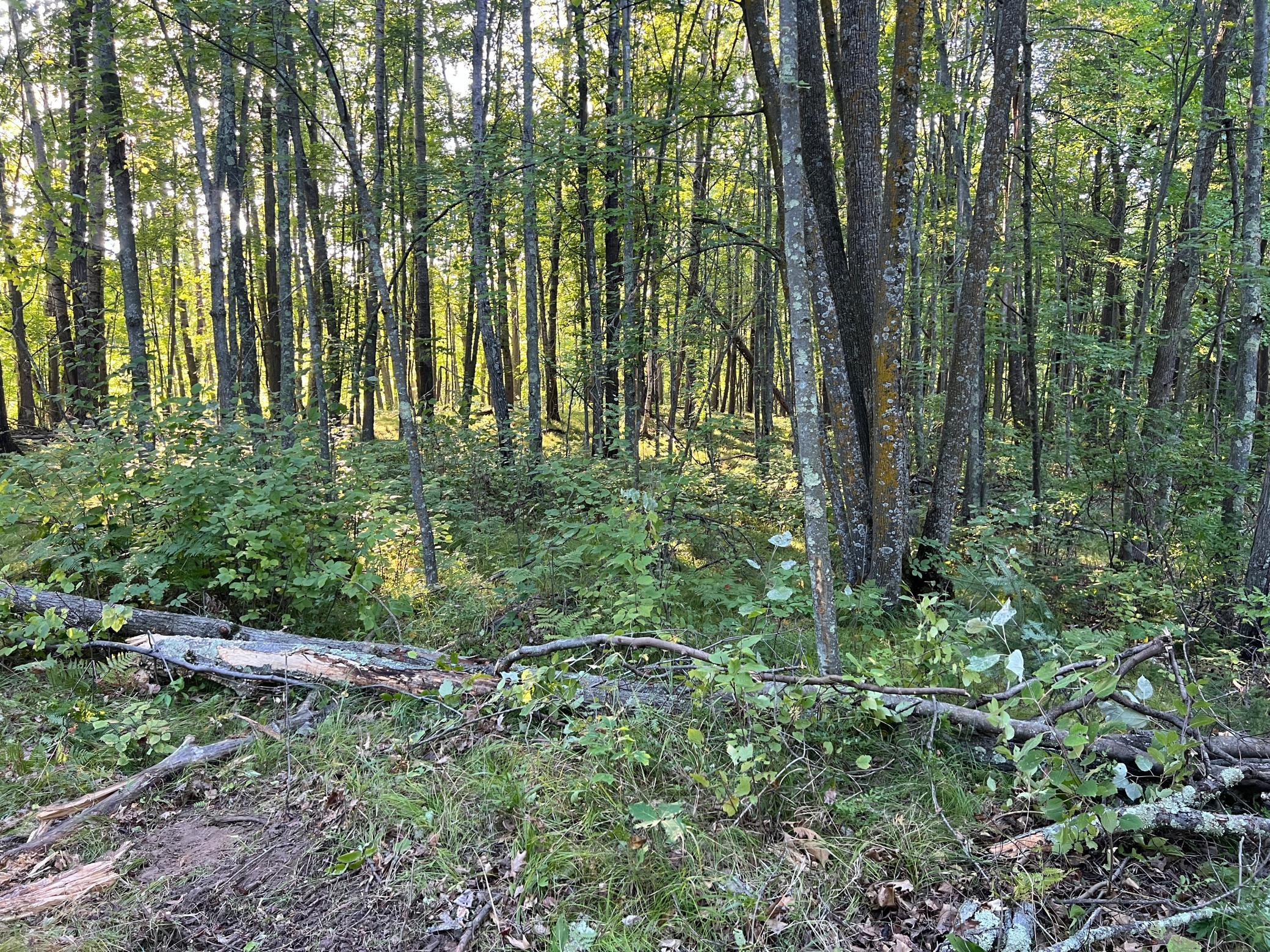 000 Dell Rd Property Photo 36
