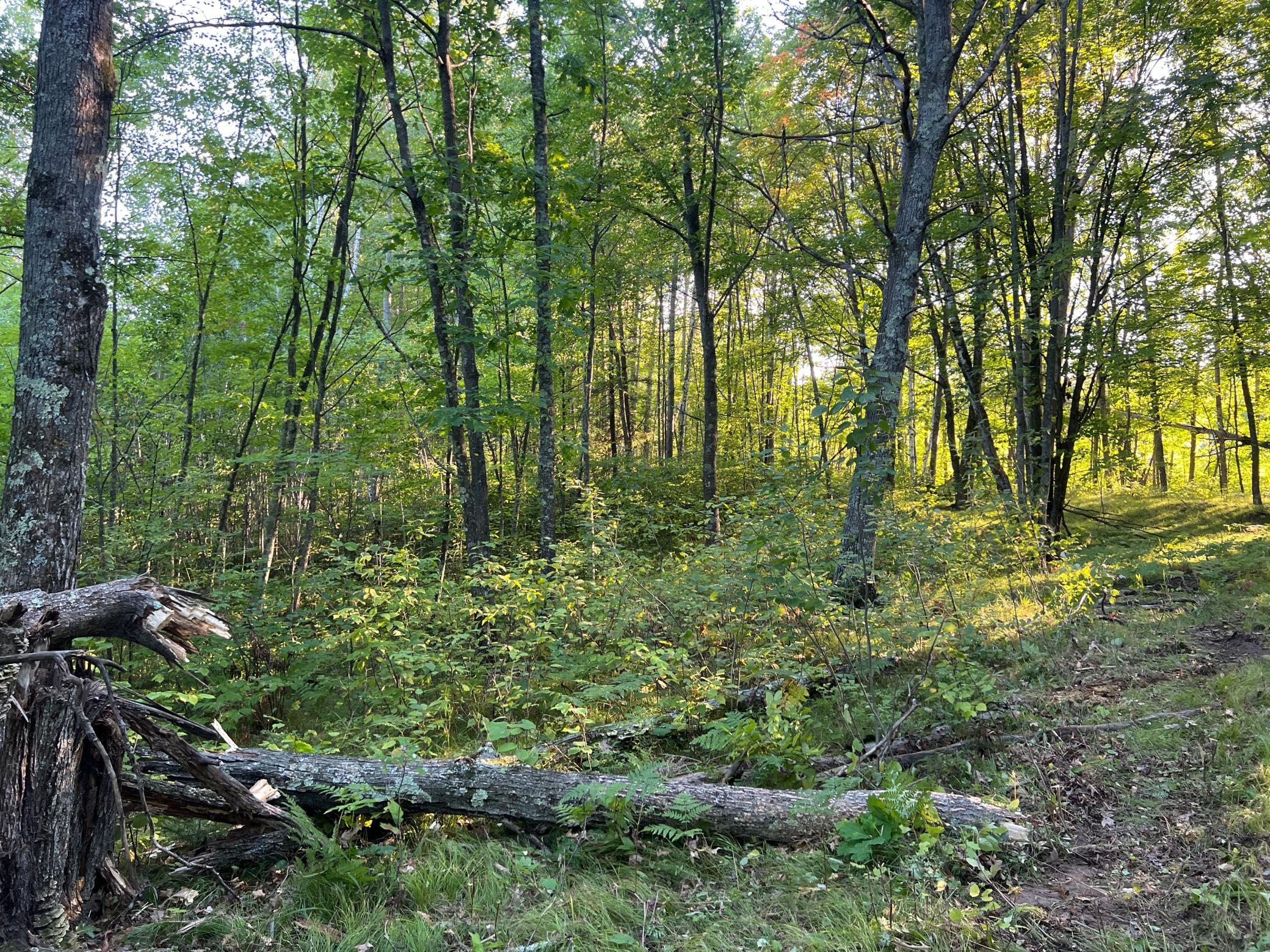 000 Dell Rd Property Photo 37