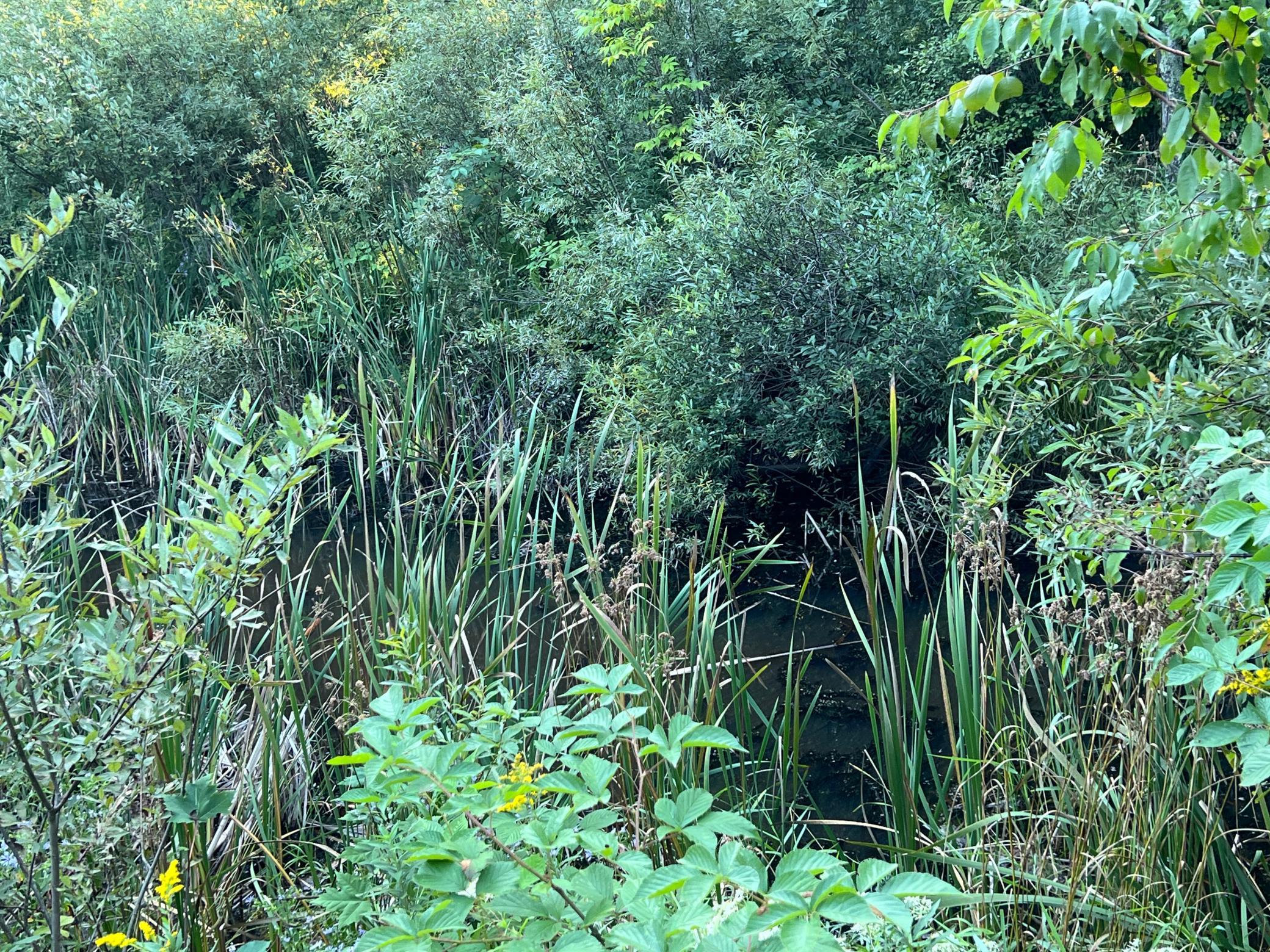 000 Dell Rd Property Photo 39