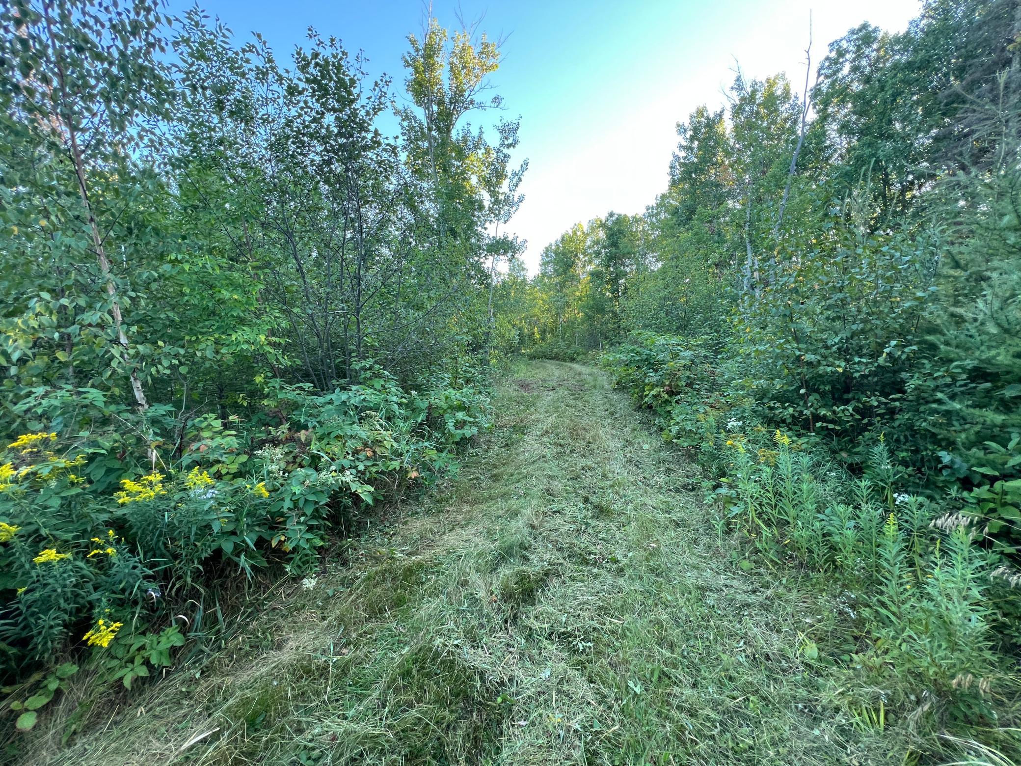 000 Dell Rd Property Photo 41