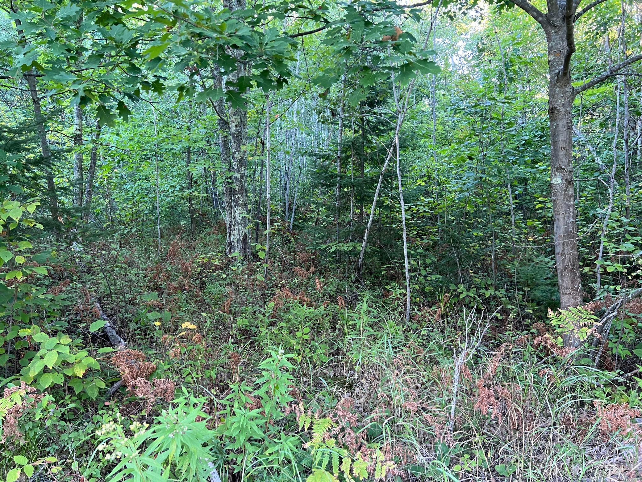 000 Dell Rd Property Photo 43