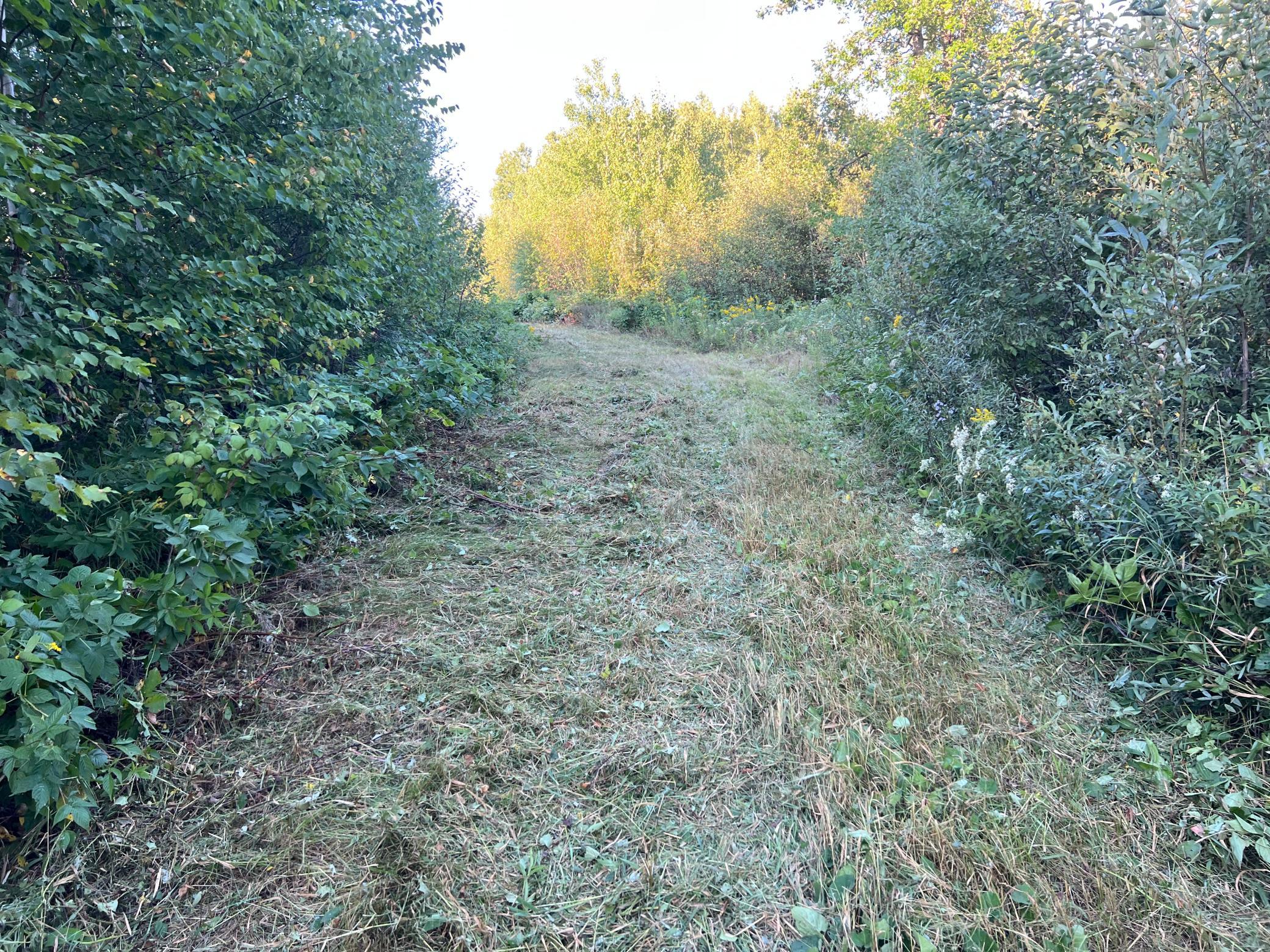 000 Dell Rd Property Photo 47