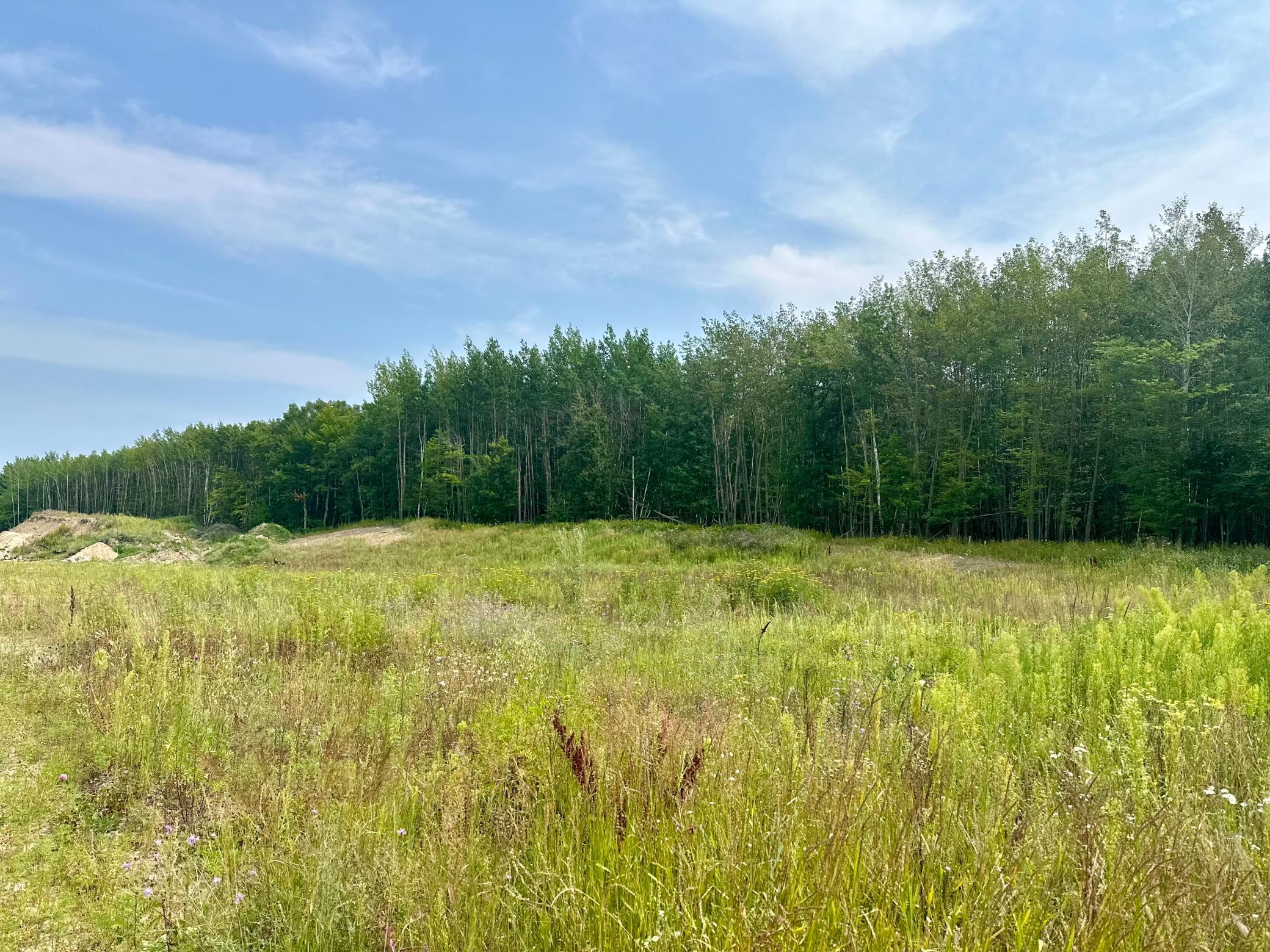 TBD-Lot 8 E Ottertail Road NW