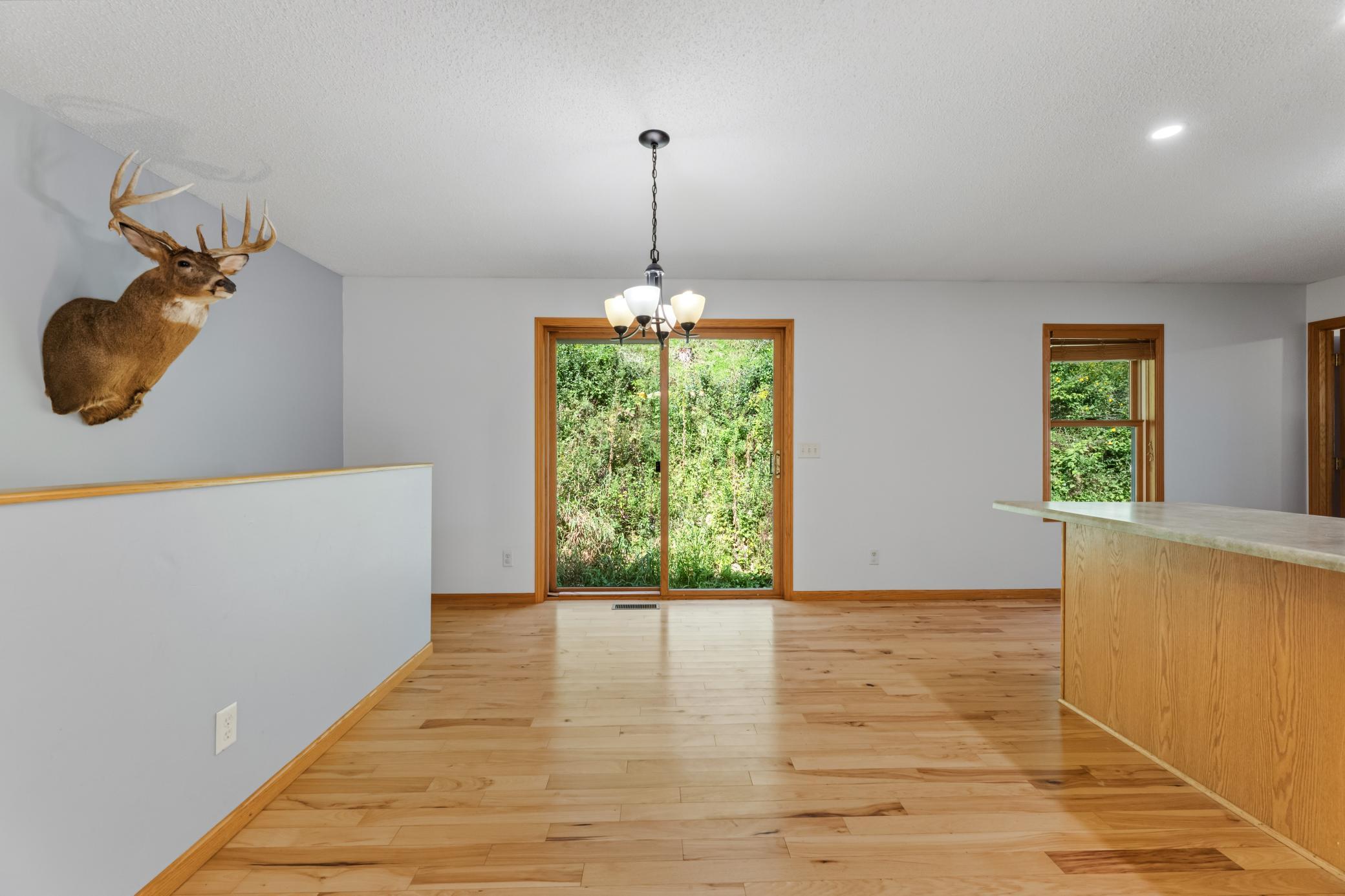 6648 Gonia Drive Property Photo 6